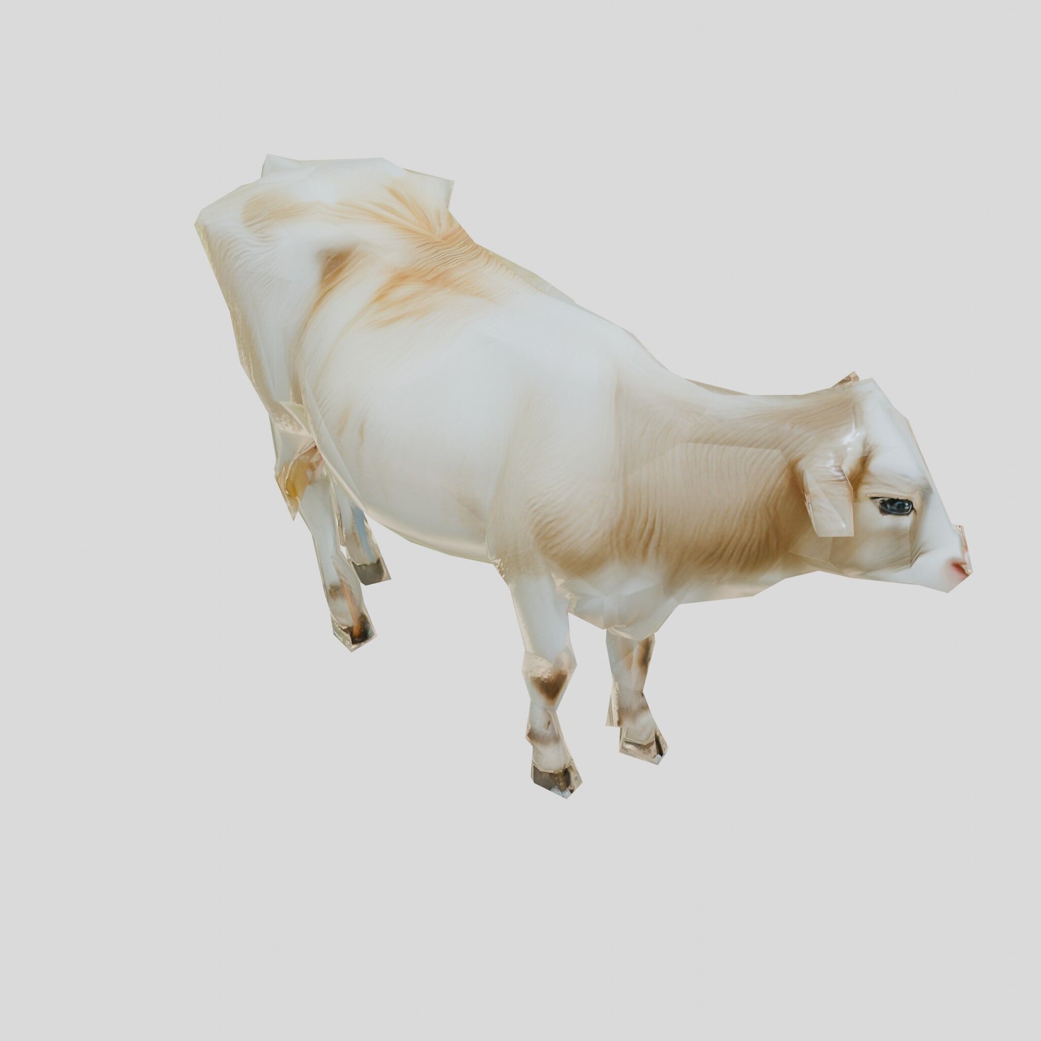 Detailed Realistic 3D Model of a Cow Low-poly 3D model_22