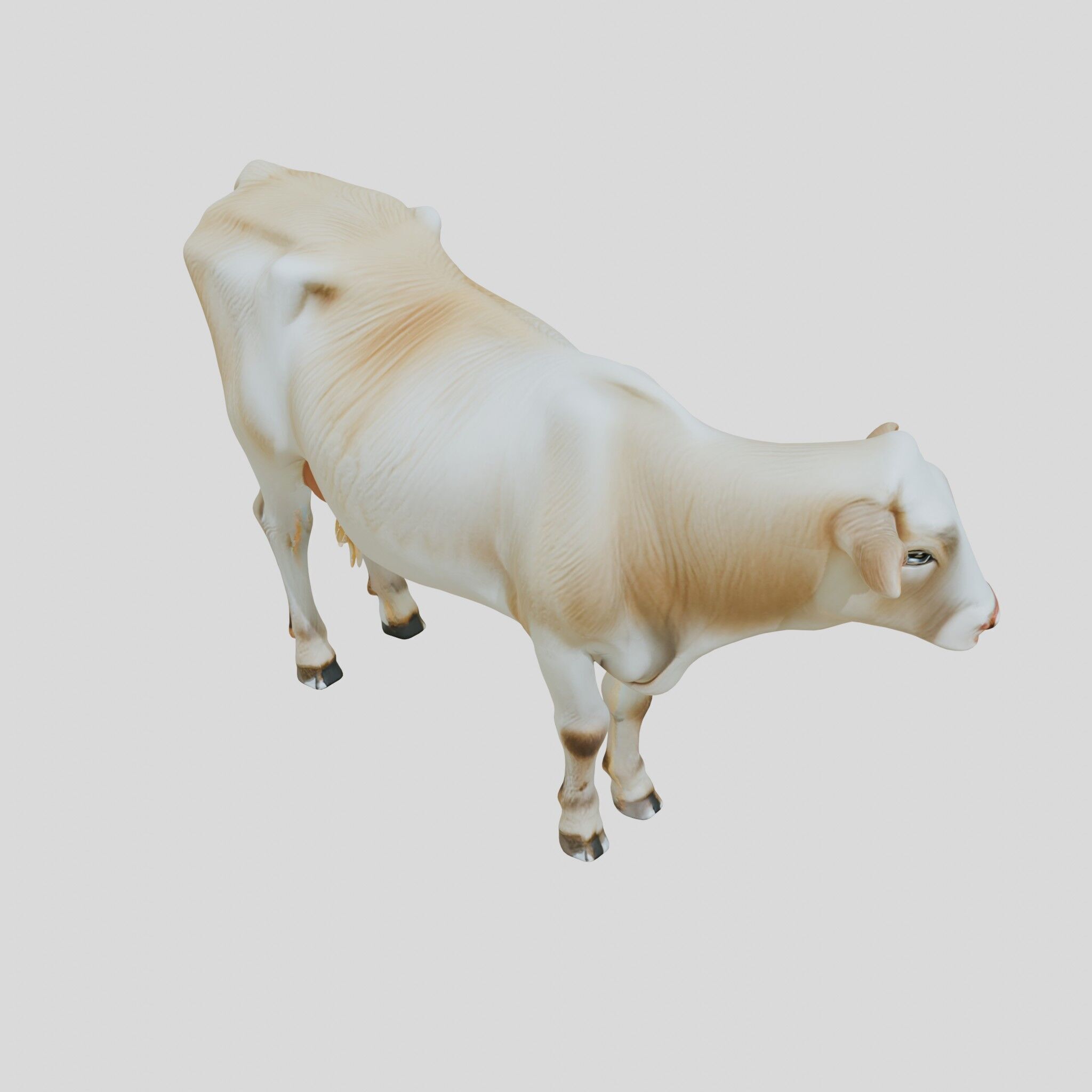Detailed Realistic 3D Model of a Cow Low-poly 3D model_8