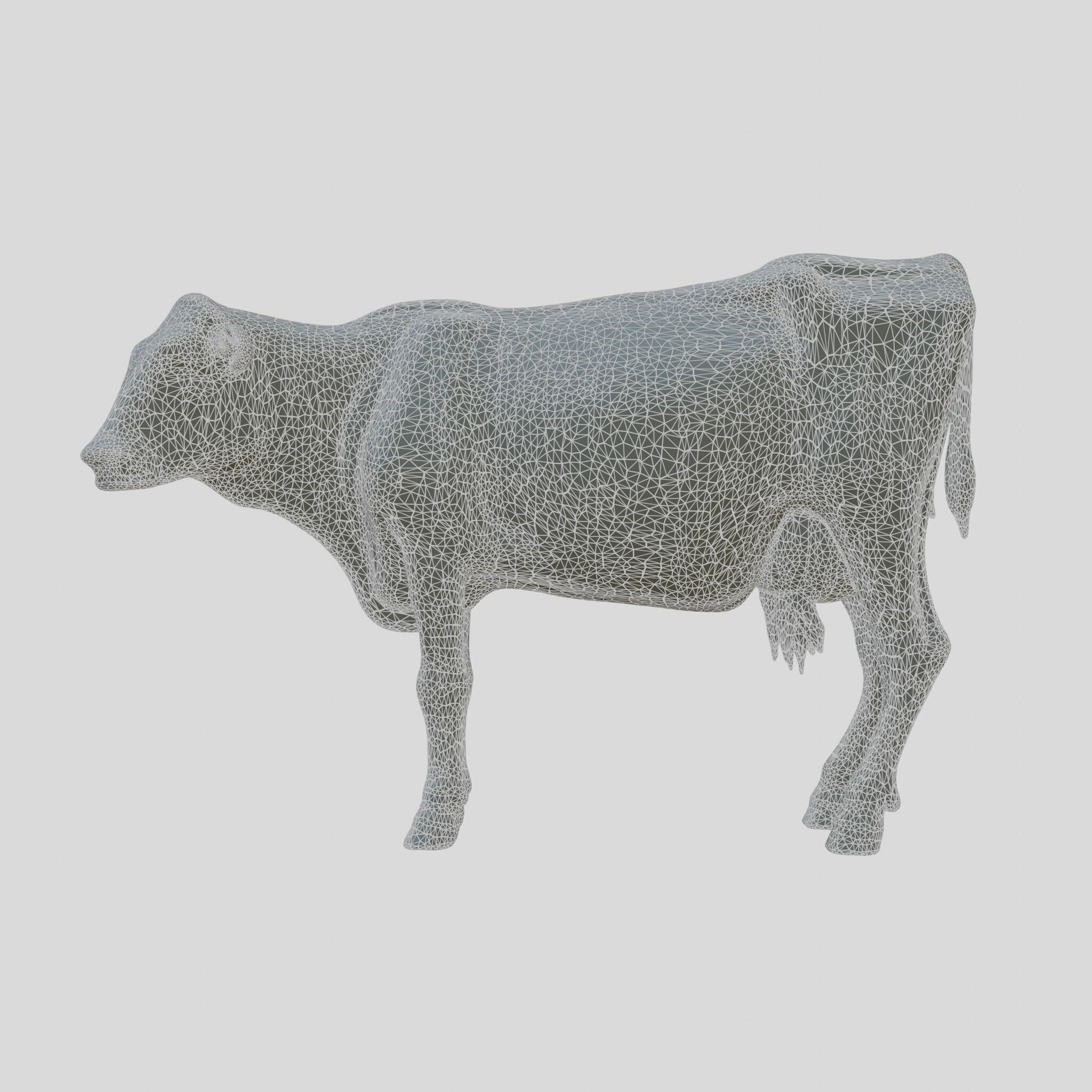 Detailed Realistic 3D Model of a Cow Low-poly 3D model_5