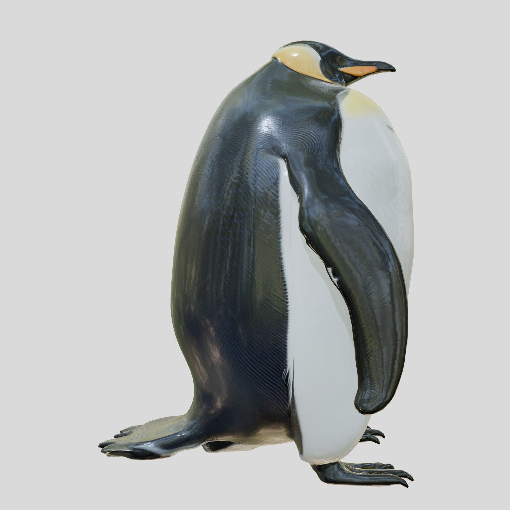 Majestic Emperor Penguin 3D Model Low-poly 3D model_15