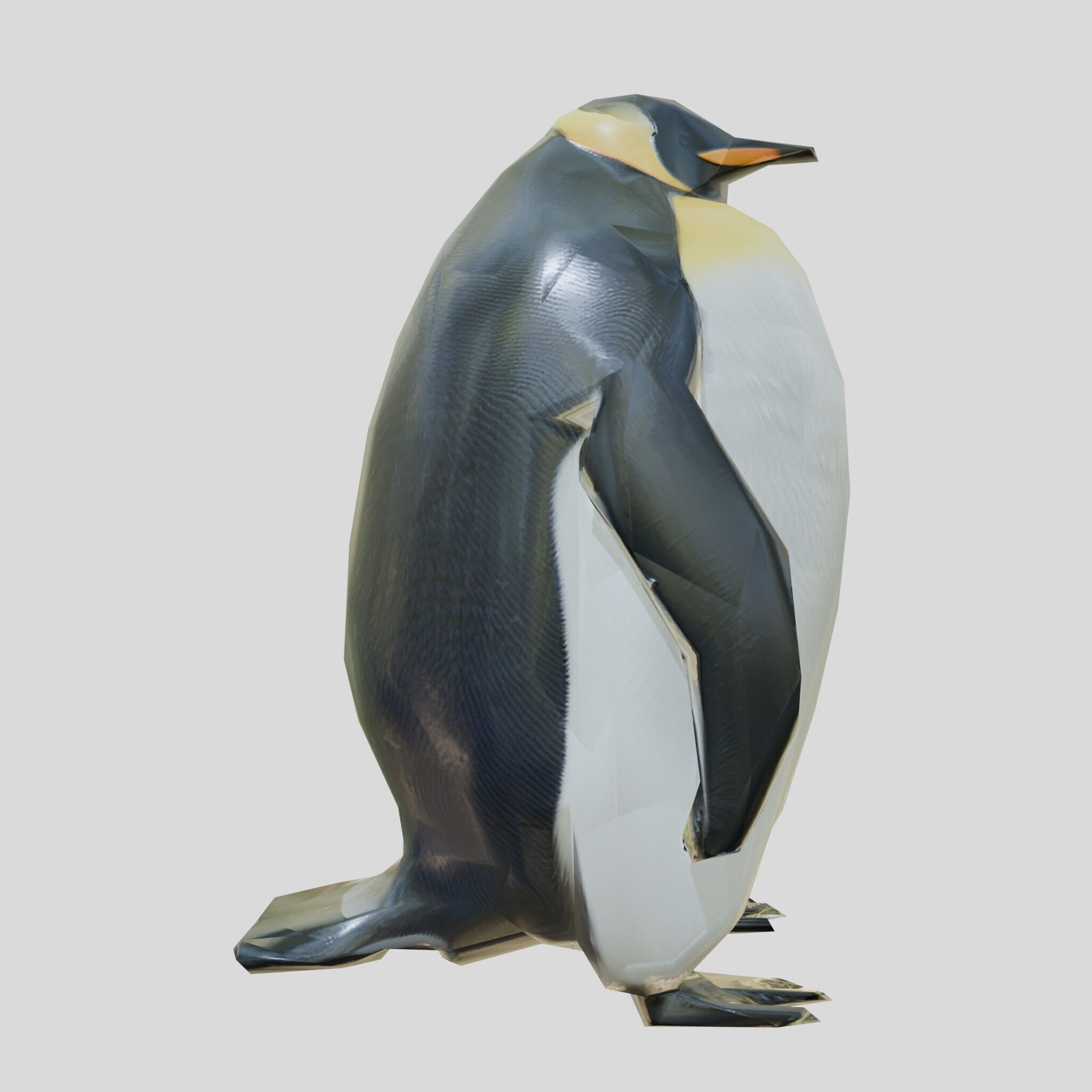 Majestic Emperor Penguin 3D Model Low-poly 3D model_16