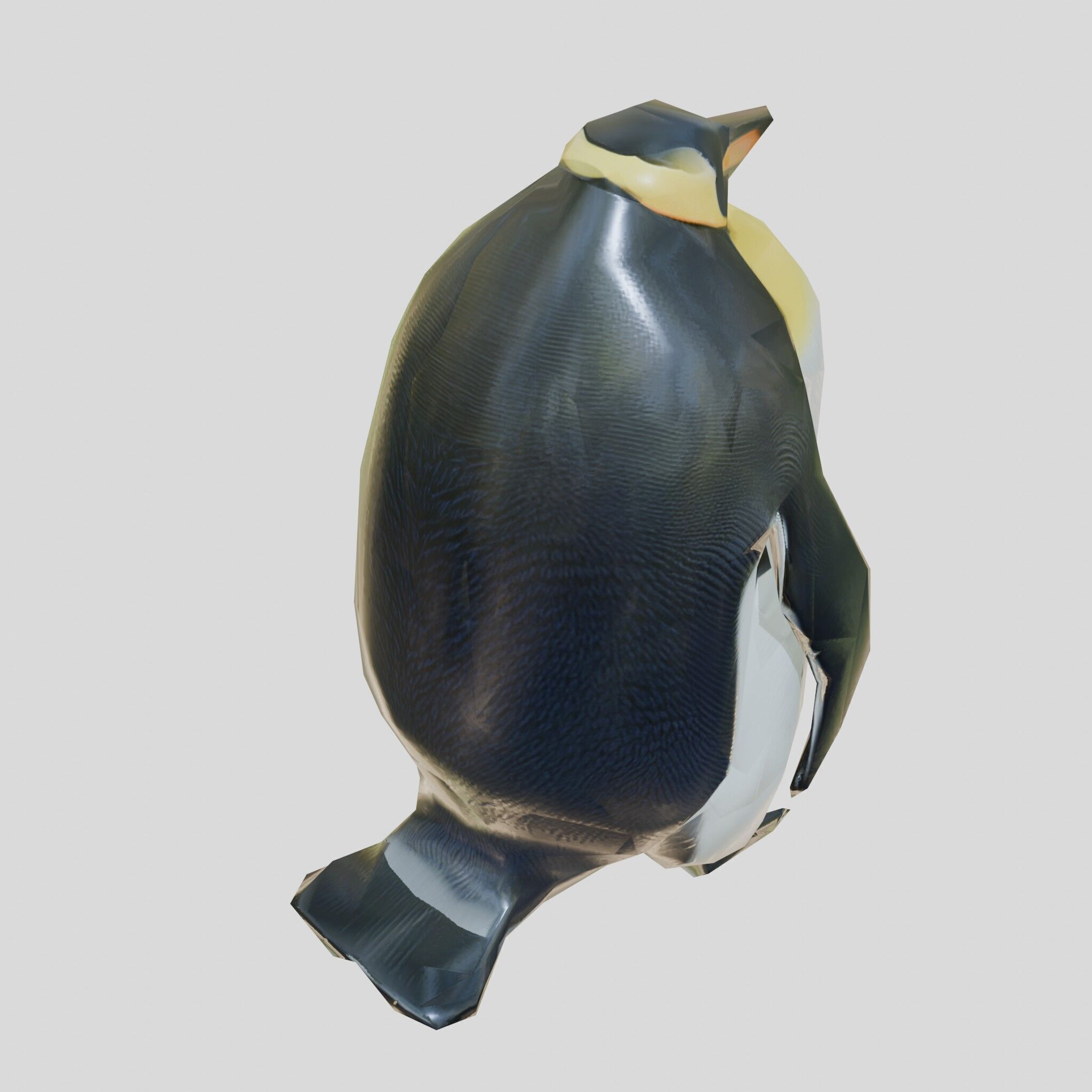 Majestic Emperor Penguin 3D Model Low-poly 3D model_10