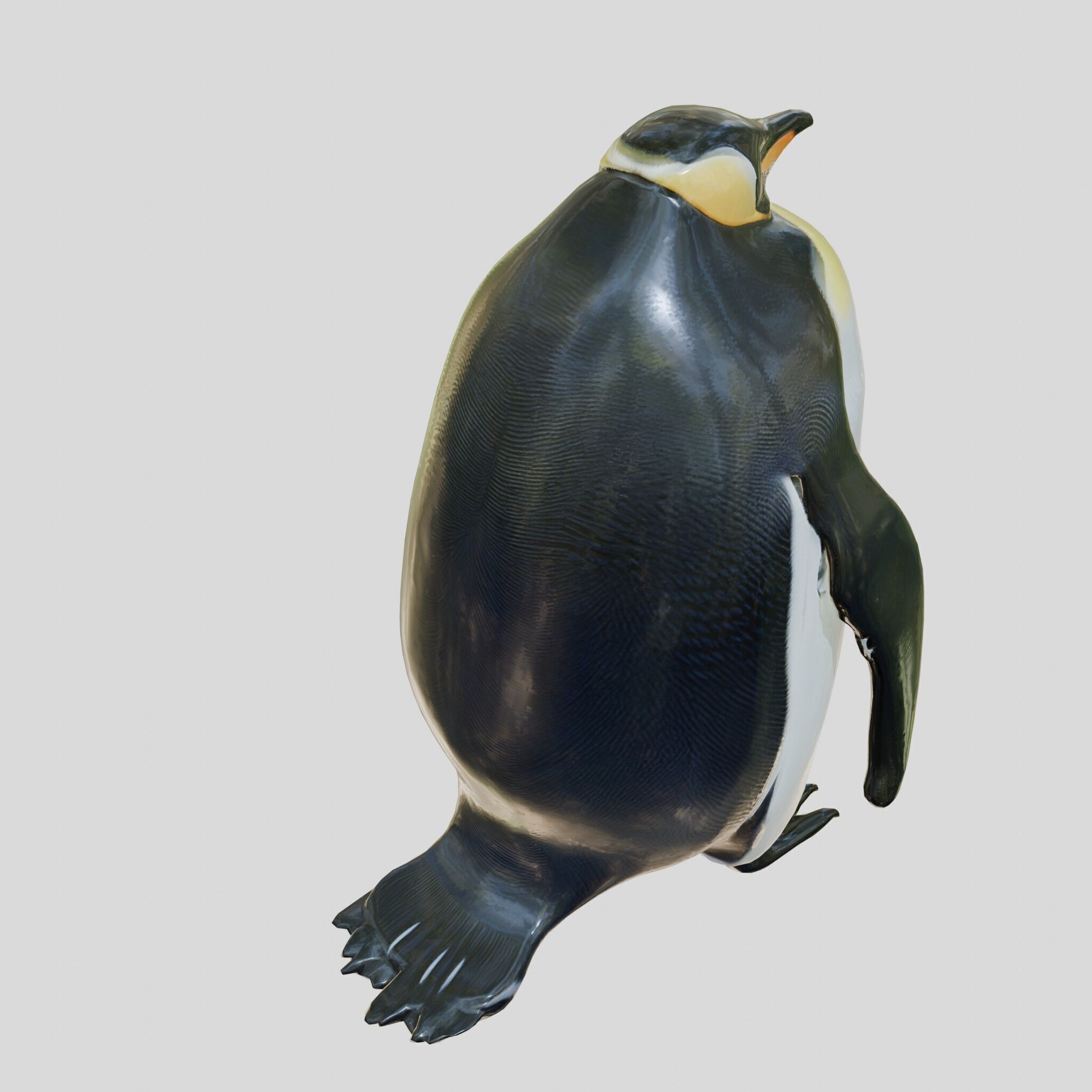 Majestic Emperor Penguin 3D Model Low-poly 3D model_9