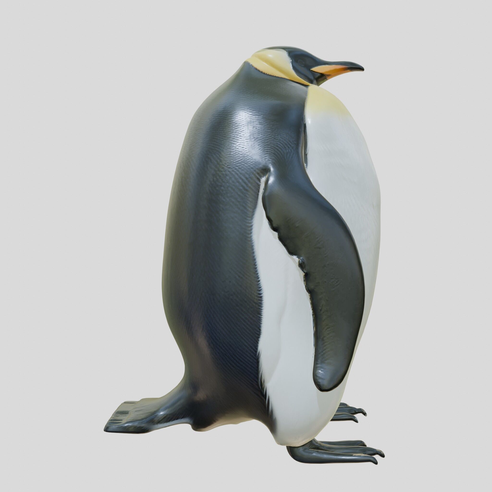 Majestic Emperor Penguin 3D Model Low-poly 3D model_11