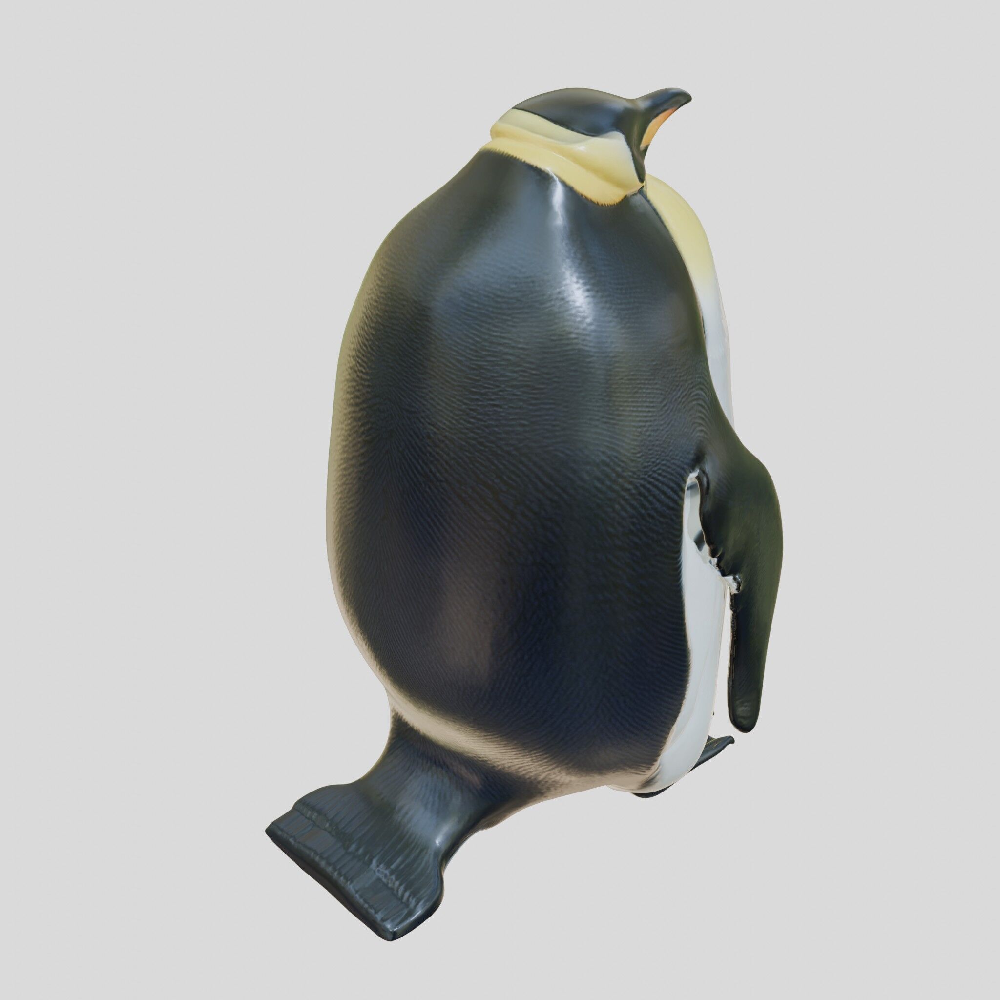 Majestic Emperor Penguin 3D Model Low-poly 3D model_20