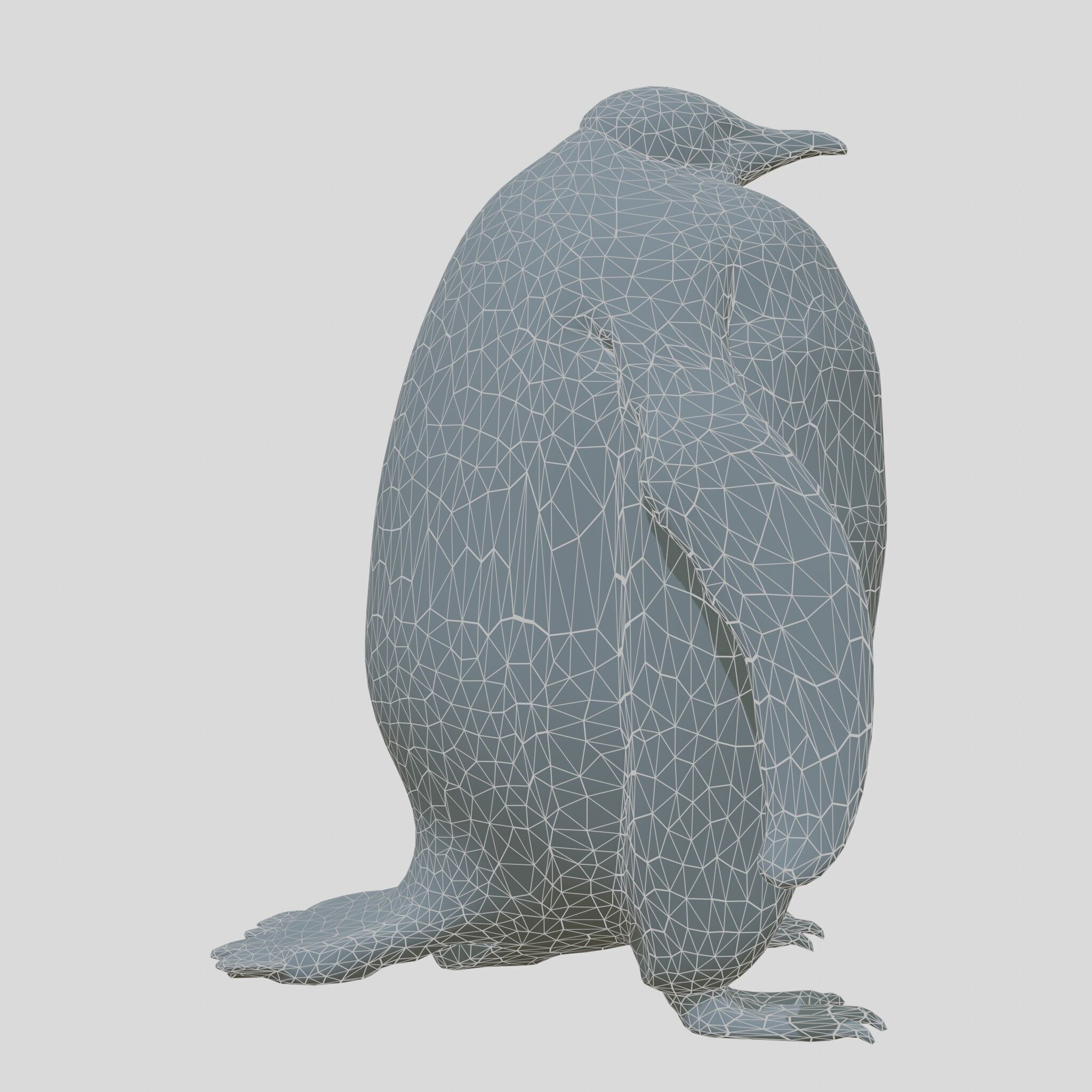 Majestic Emperor Penguin 3D Model Low-poly 3D model_18