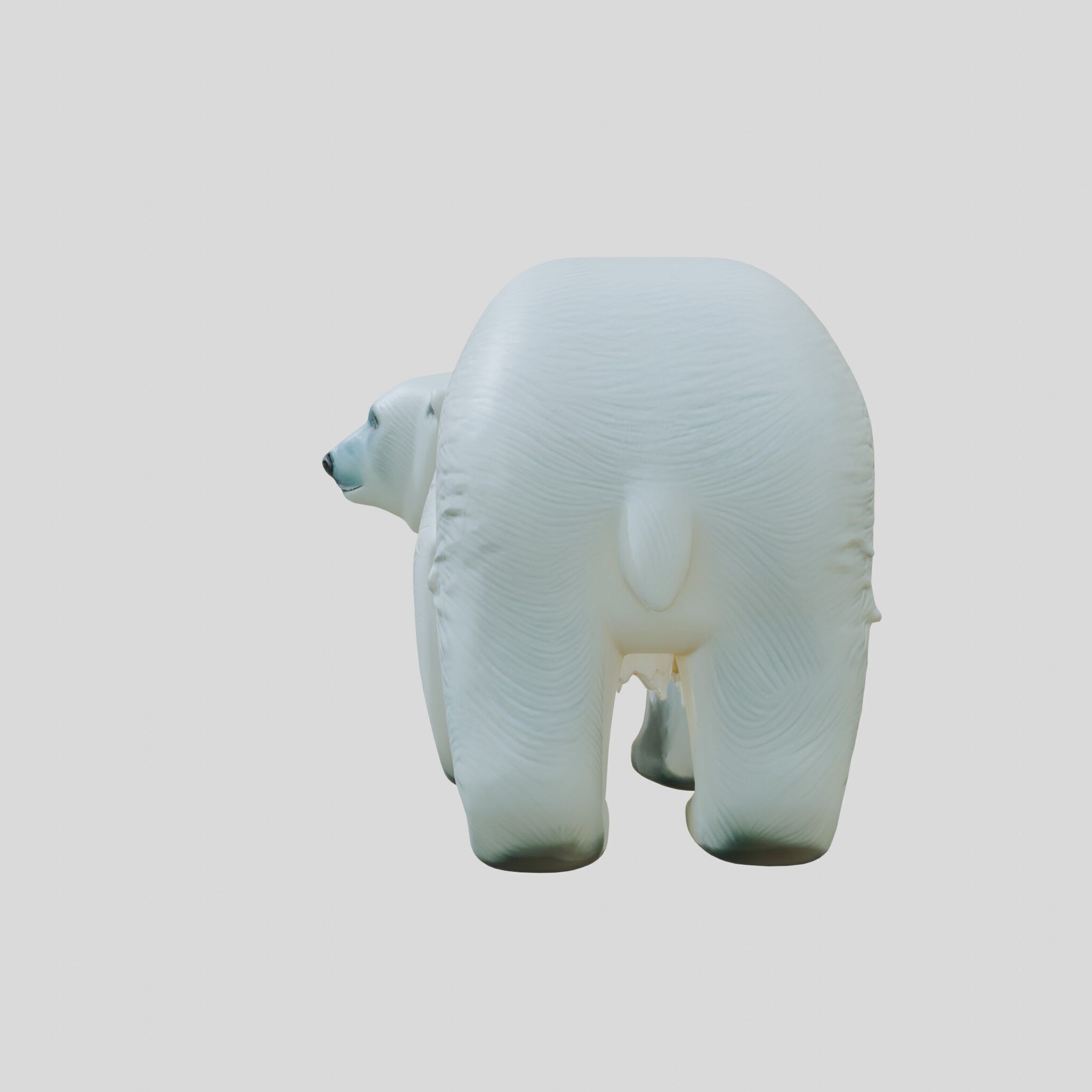 Polar Bear Realistic Fur Detailed 3D Model Low-poly 3D model_4