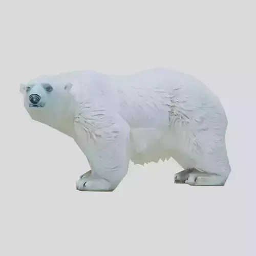 Polar Bear Realistic Fur Detailed 3D Model