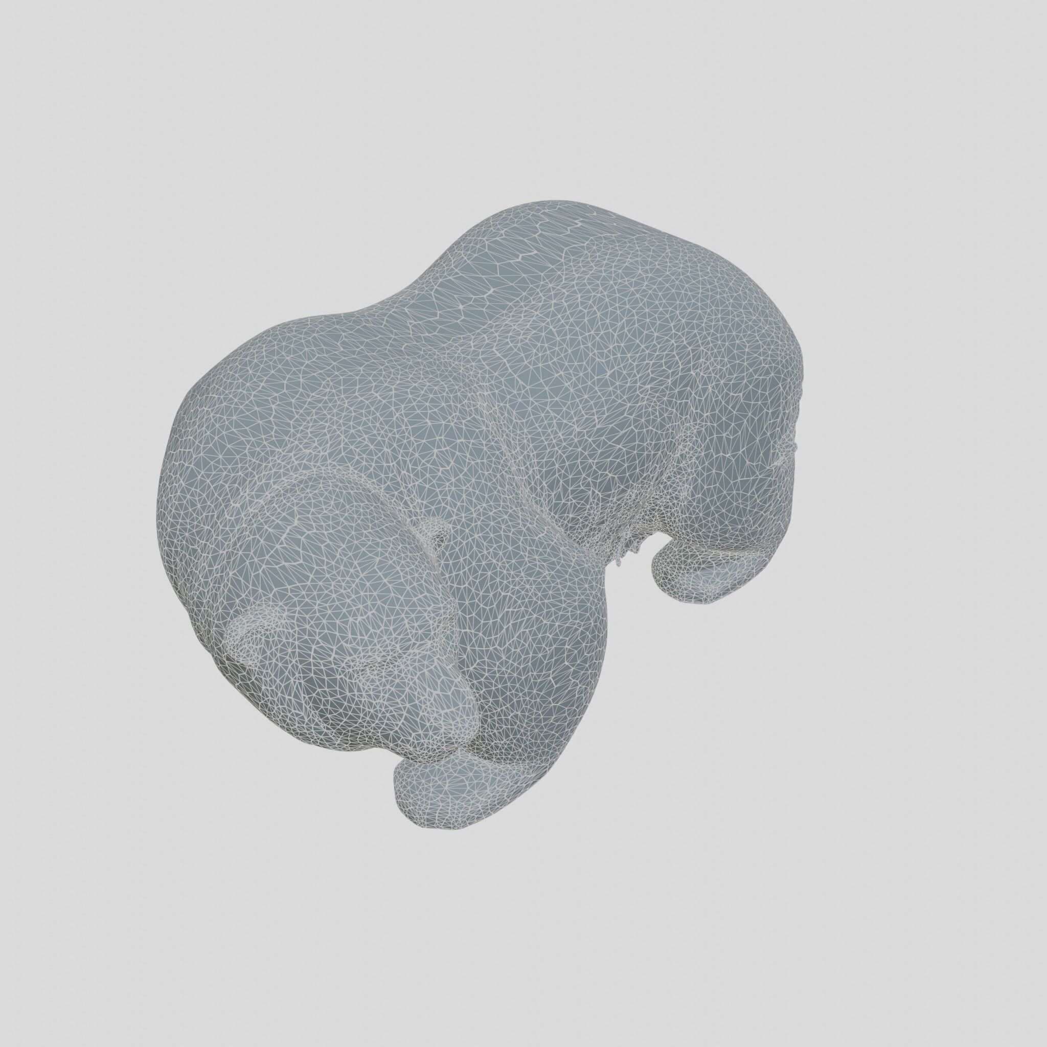 Polar Bear Realistic Fur Detailed 3D Model Low-poly 3D model_11