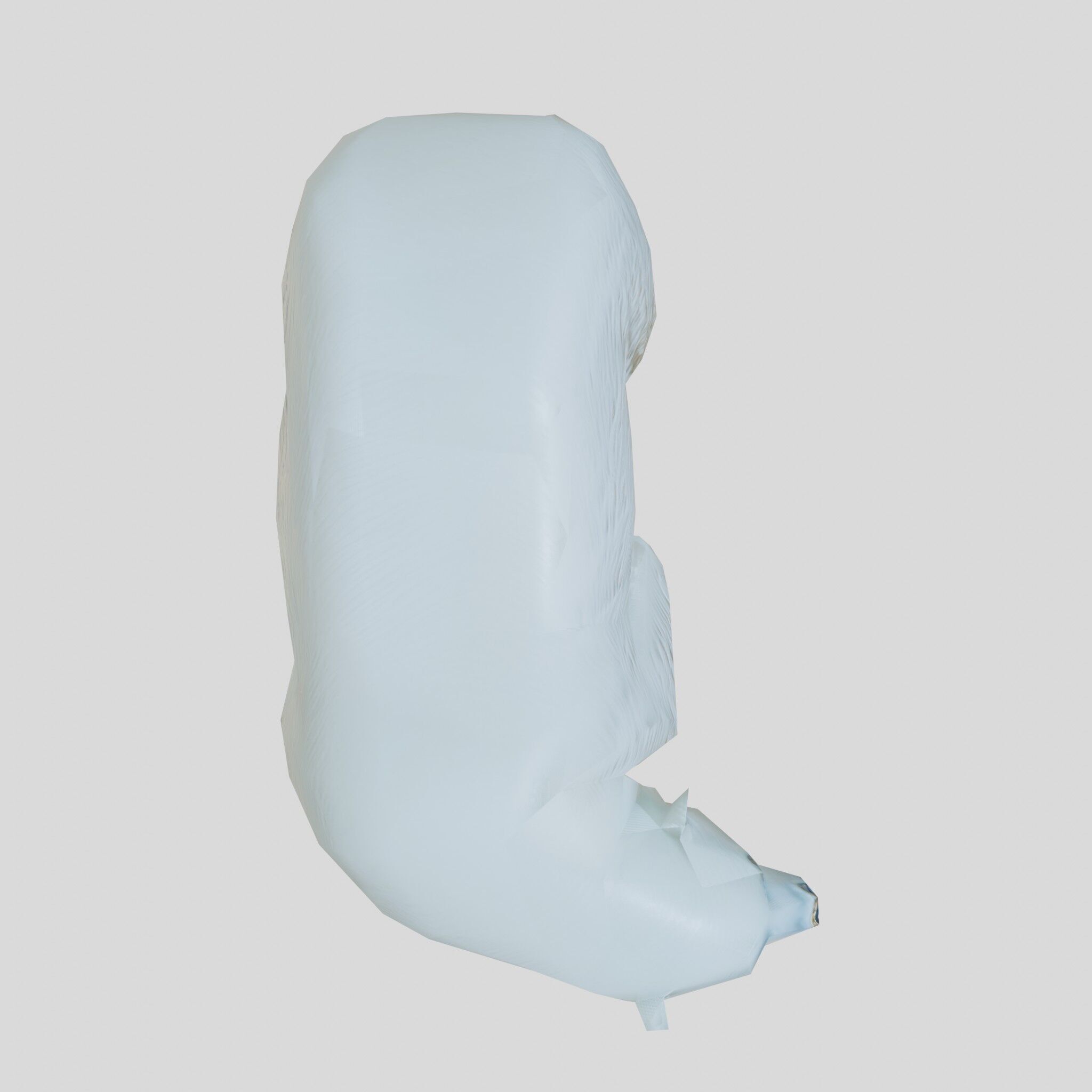 Polar Bear Realistic Fur Detailed 3D Model Low-poly 3D model_7