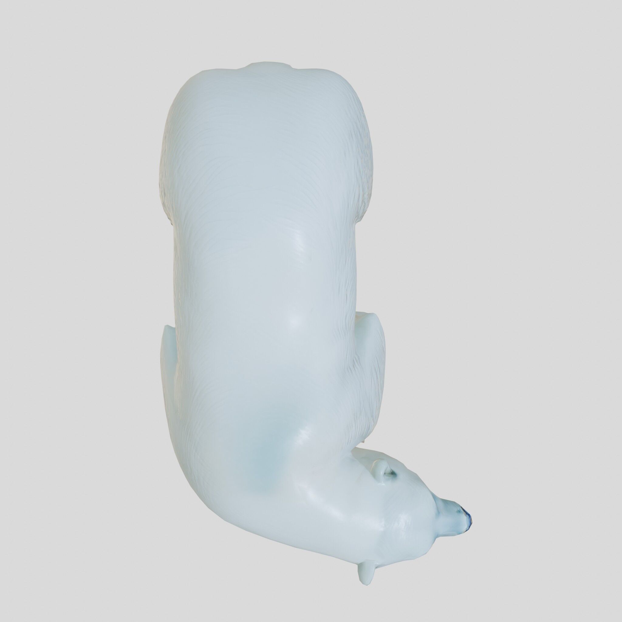 Polar Bear Realistic Fur Detailed 3D Model Low-poly 3D model_21