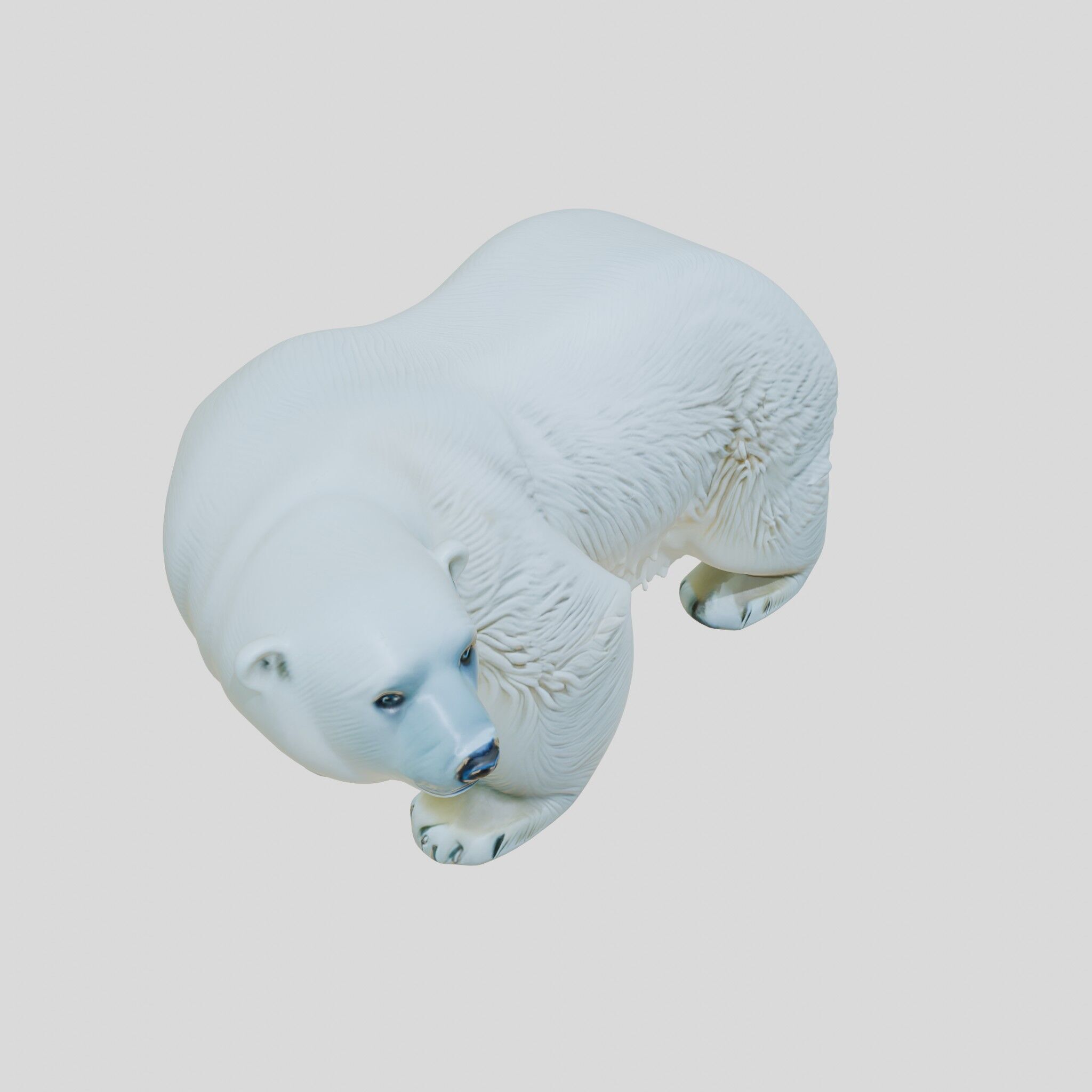 Polar Bear Realistic Fur Detailed 3D Model Low-poly 3D model_8