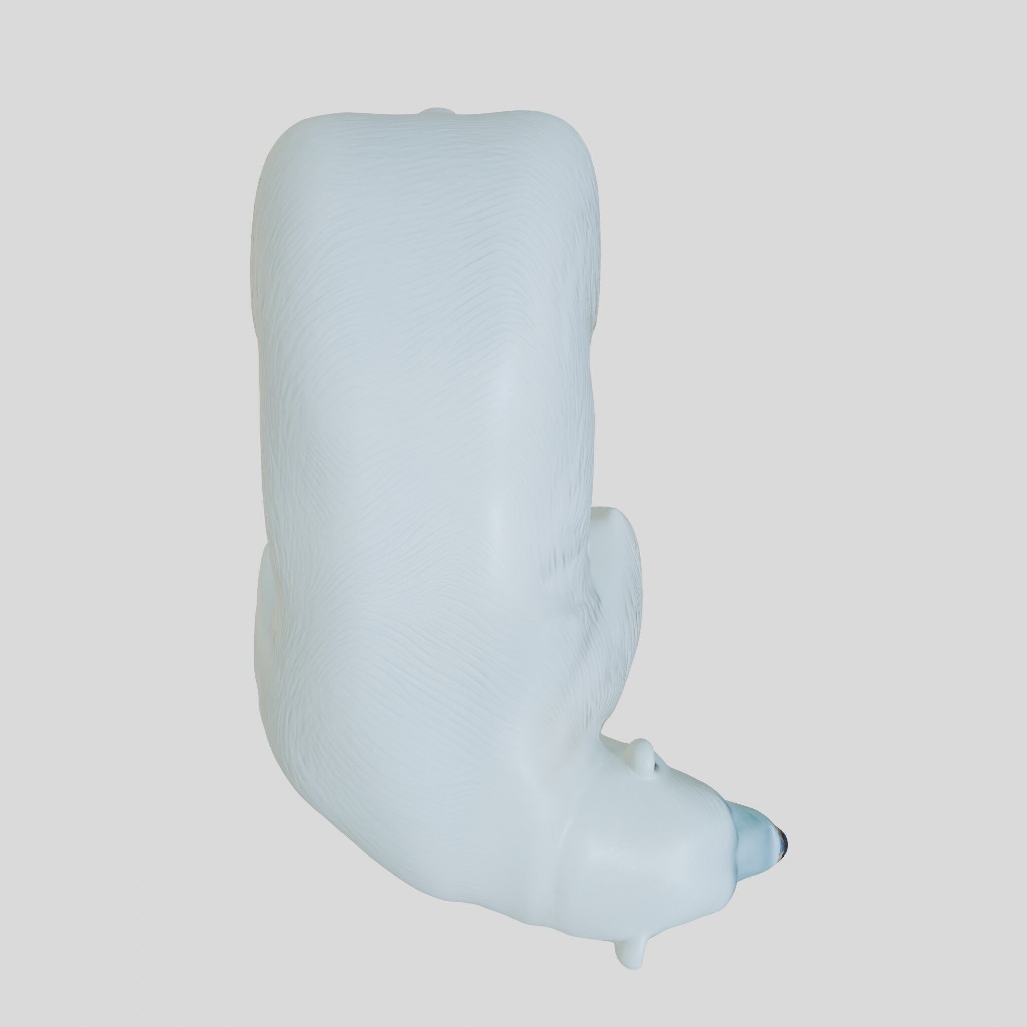 Polar Bear Realistic Fur Detailed 3D Model Low-poly 3D model_20