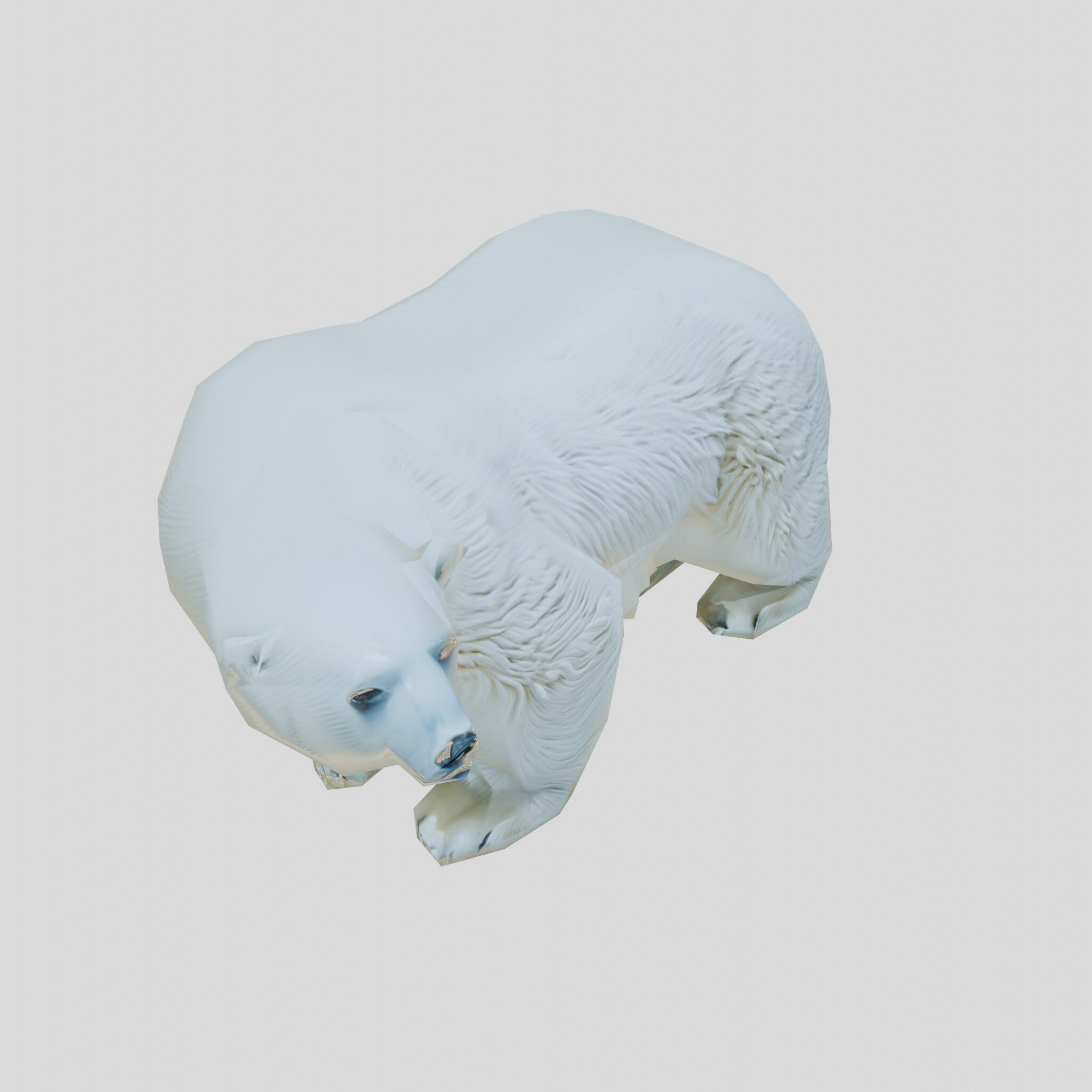 Polar Bear Realistic Fur Detailed 3D Model Low-poly 3D model_22