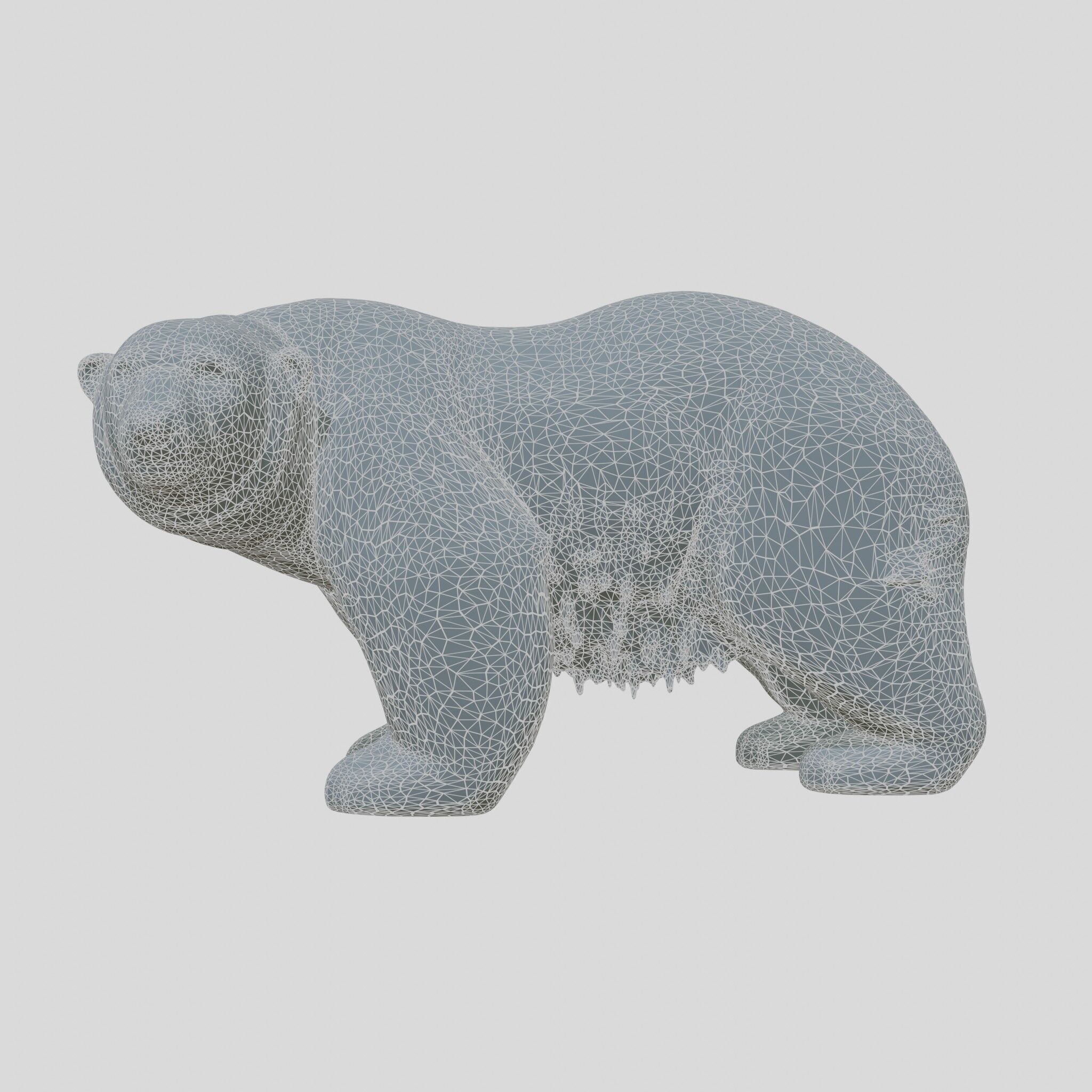 Polar Bear Realistic Fur Detailed 3D Model Low-poly 3D model_17