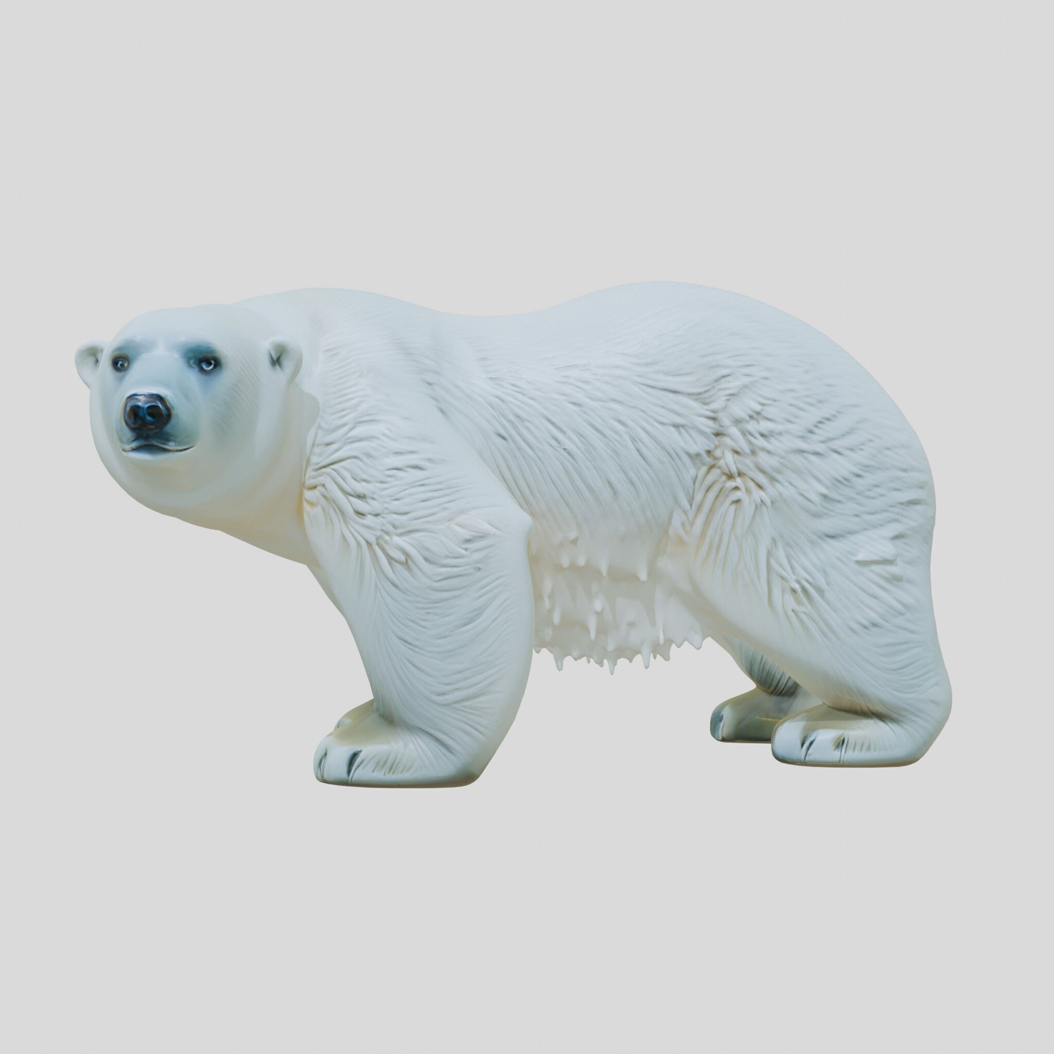Polar Bear Realistic Fur Detailed 3D Model Low-poly 3D model_14
