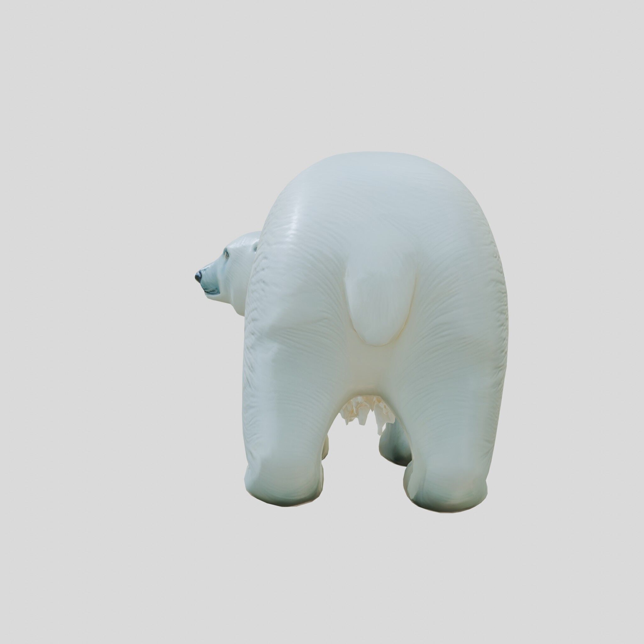 Polar Bear Realistic Fur Detailed 3D Model Low-poly 3D model_2