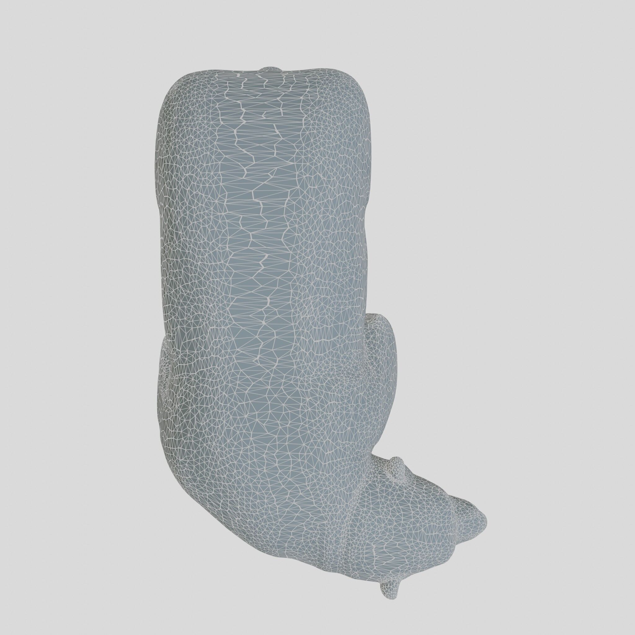 Polar Bear Realistic Fur Detailed 3D Model Low-poly 3D model_23