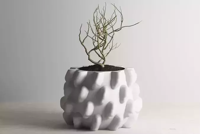 vase 3d print 732 