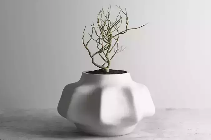 vase 3d print 716 