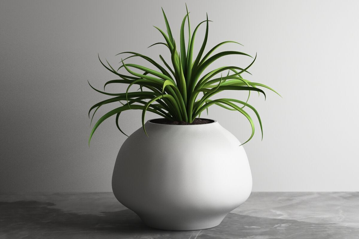 vase 3d print 706  3D print model_2