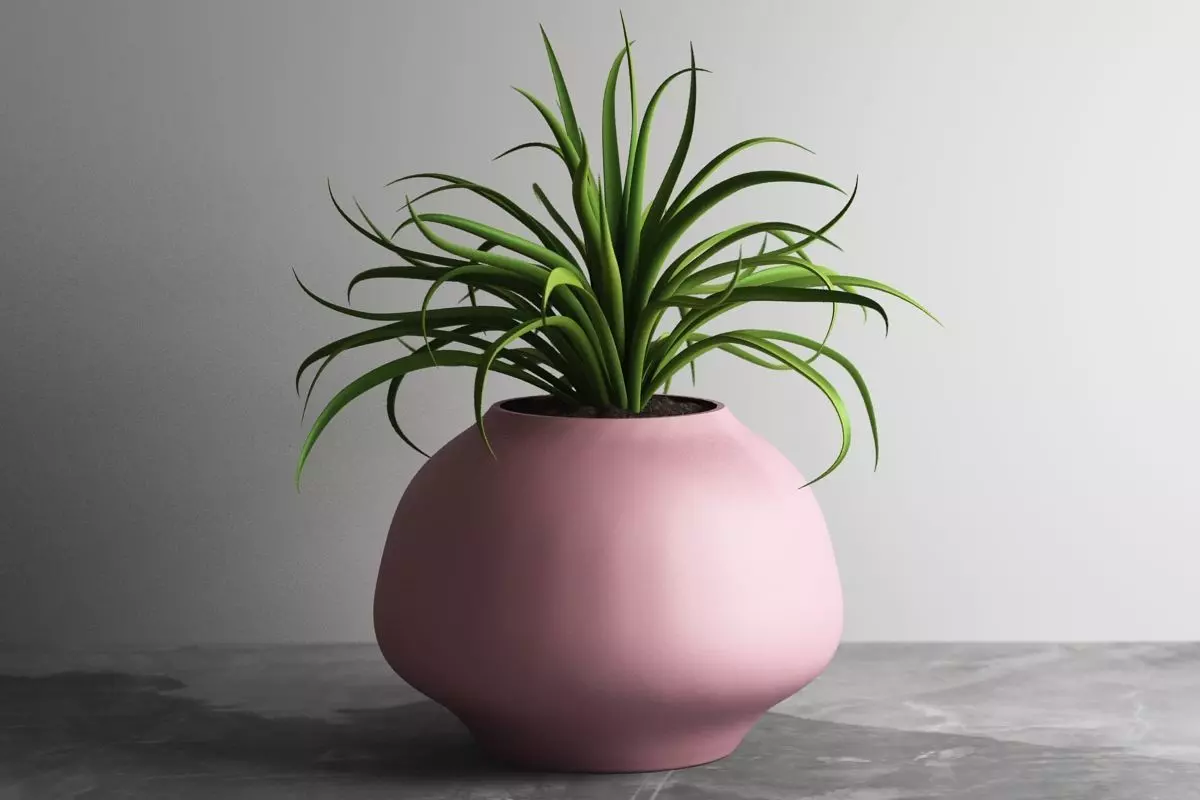 vase 3d print 706  3D print model_0