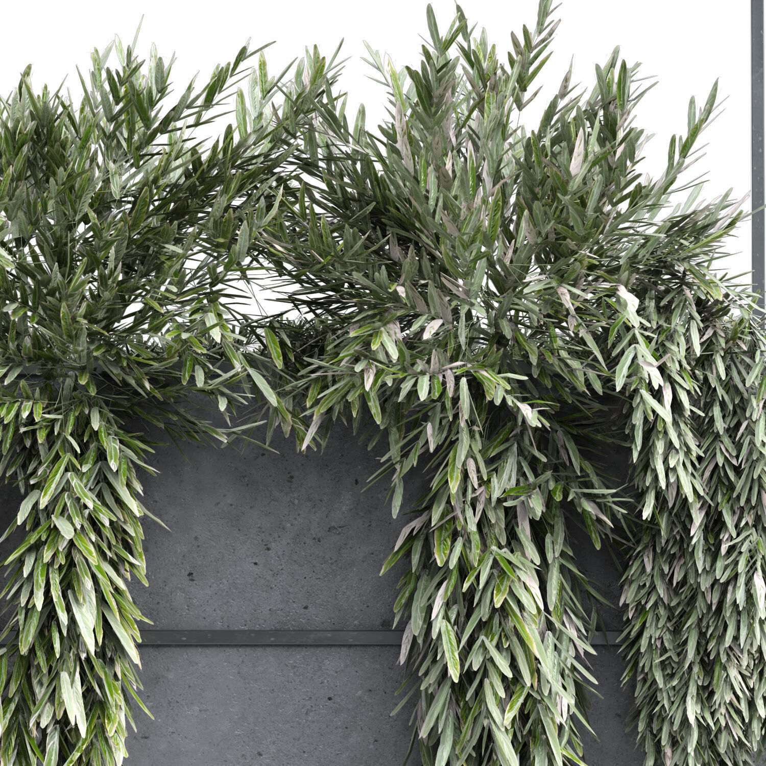 vertical plant in box greenwall and partition set 362 3D model_2