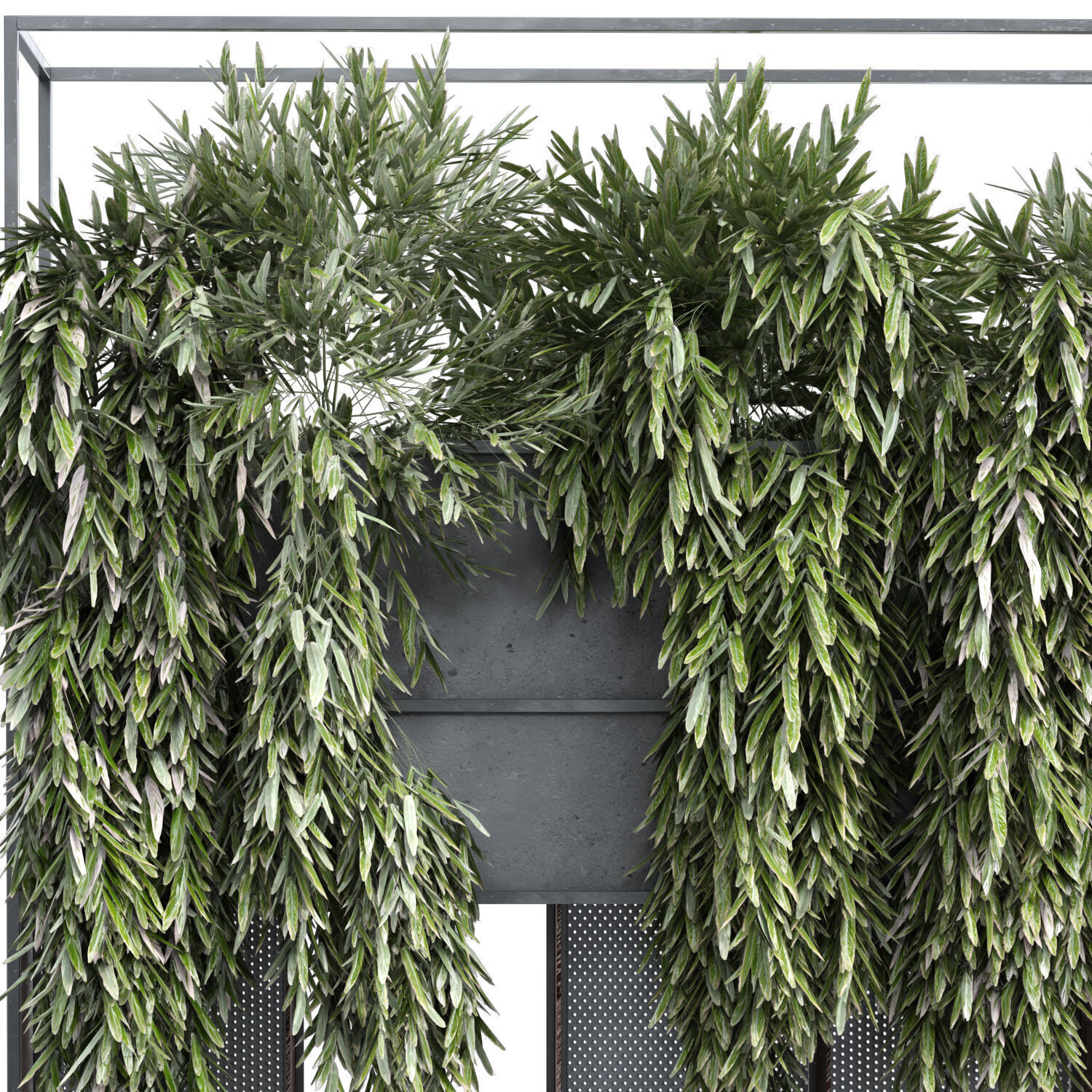 vertical plant in box greenwall and partition set 362 3D model_4