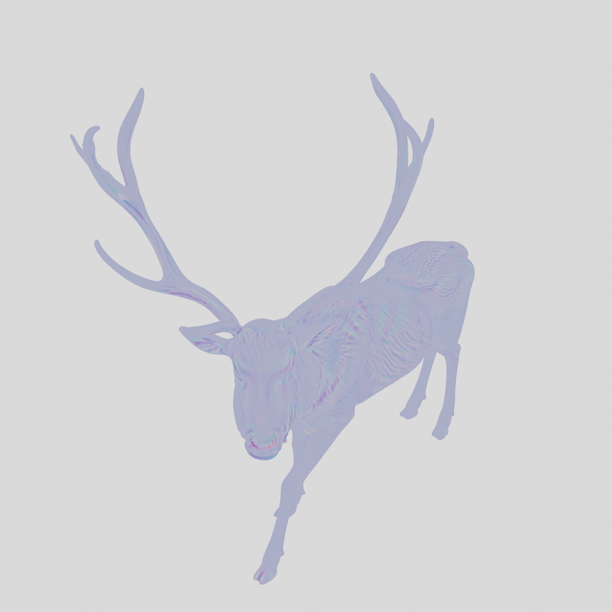 Realistic Elk with Majestic Antlers 3D Model Low-poly 3D model_26