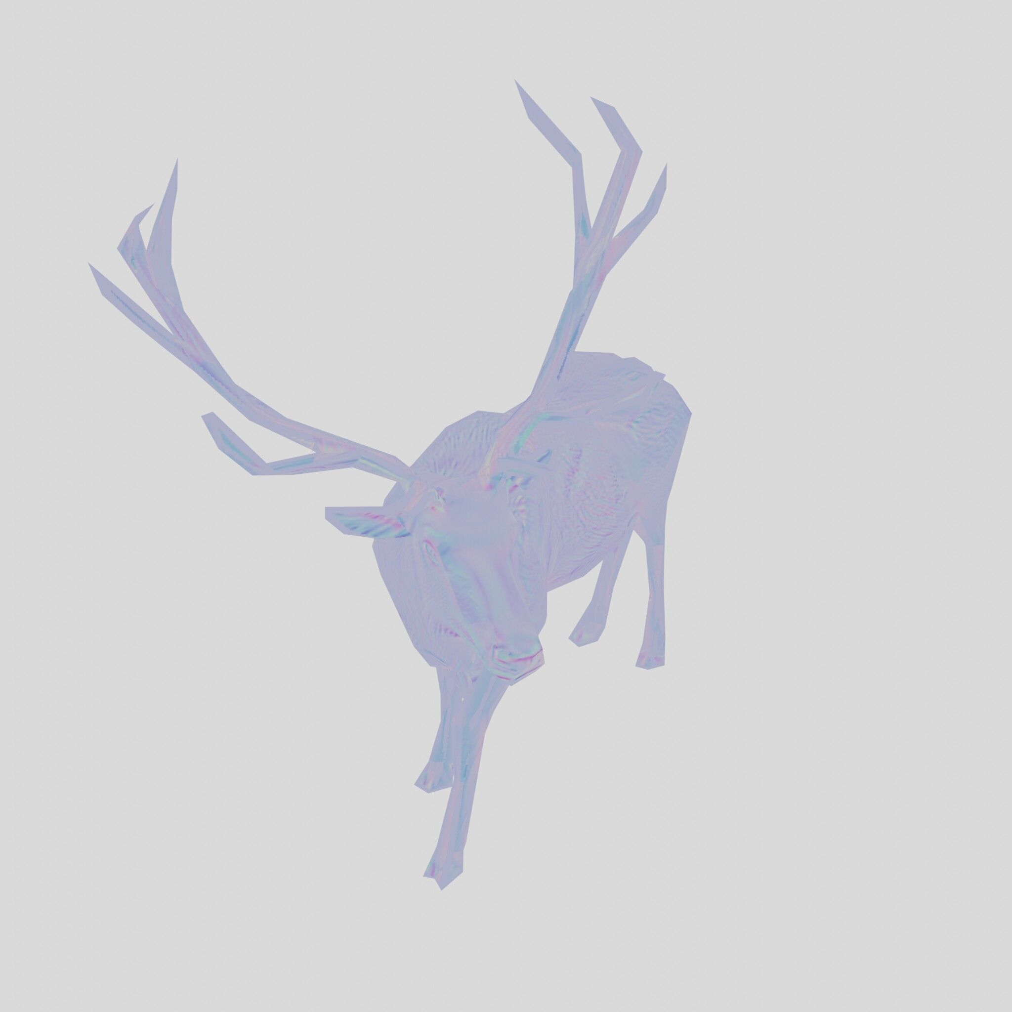 Realistic Elk with Majestic Antlers 3D Model Low-poly 3D model_28