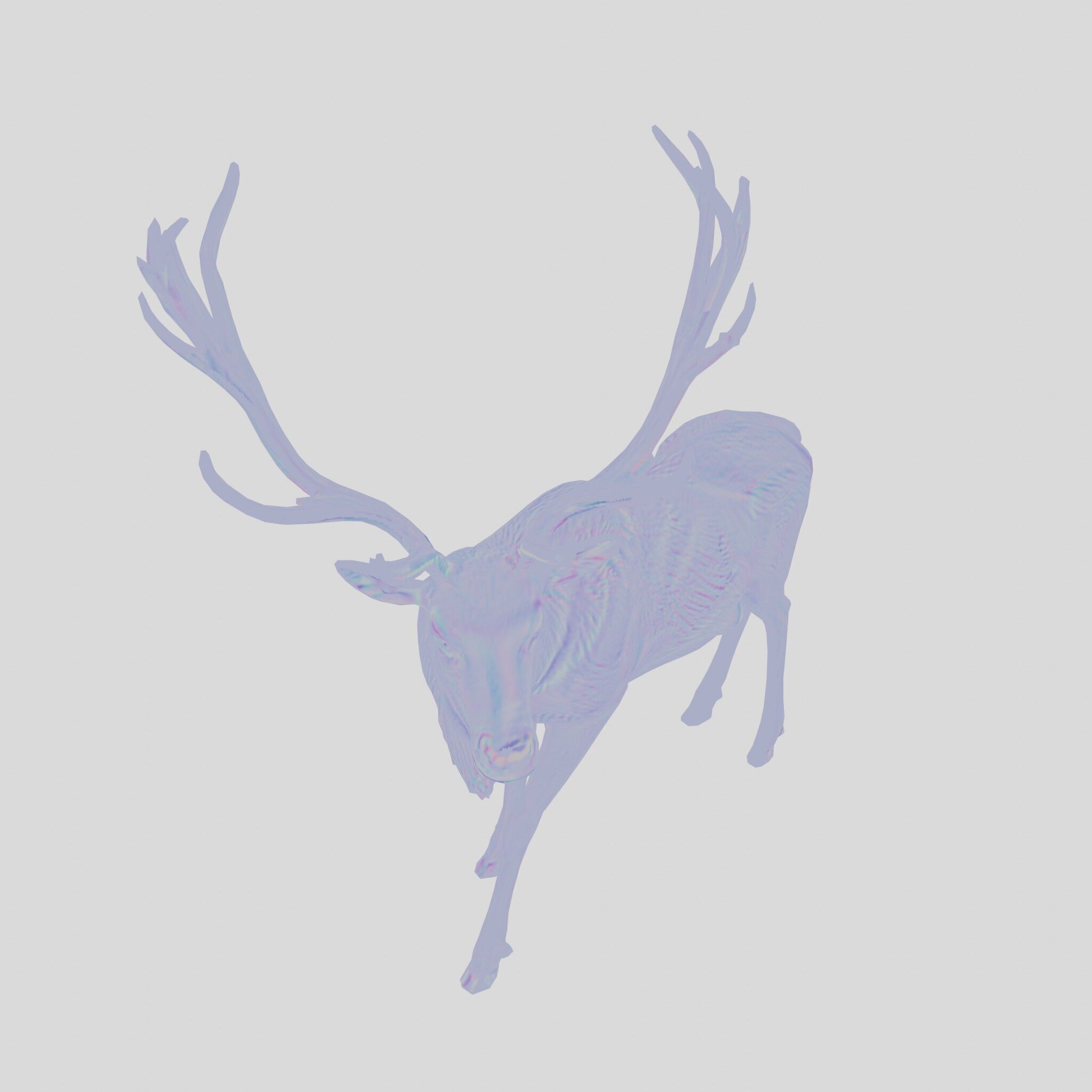 Realistic Elk with Majestic Antlers 3D Model Low-poly 3D model_27