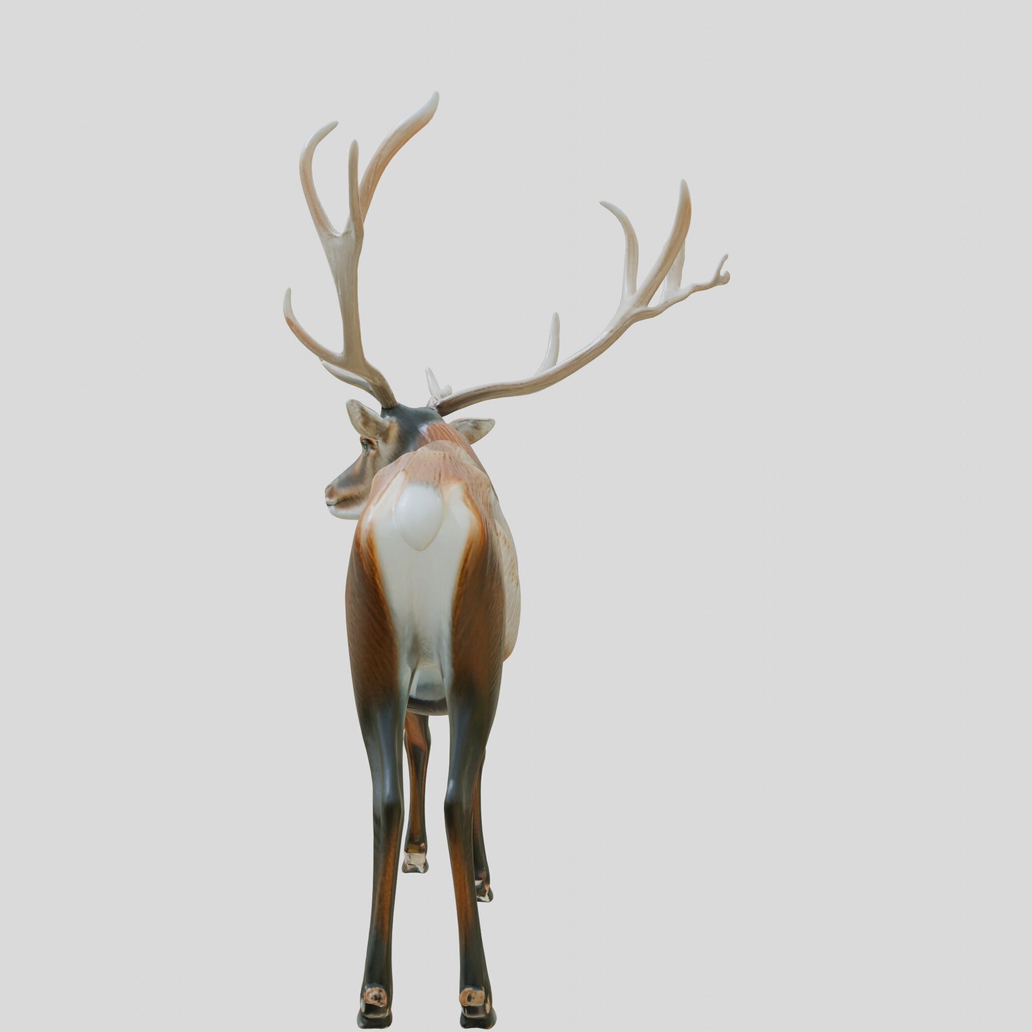 Realistic Elk with Majestic Antlers 3D Model Low-poly 3D model_5
