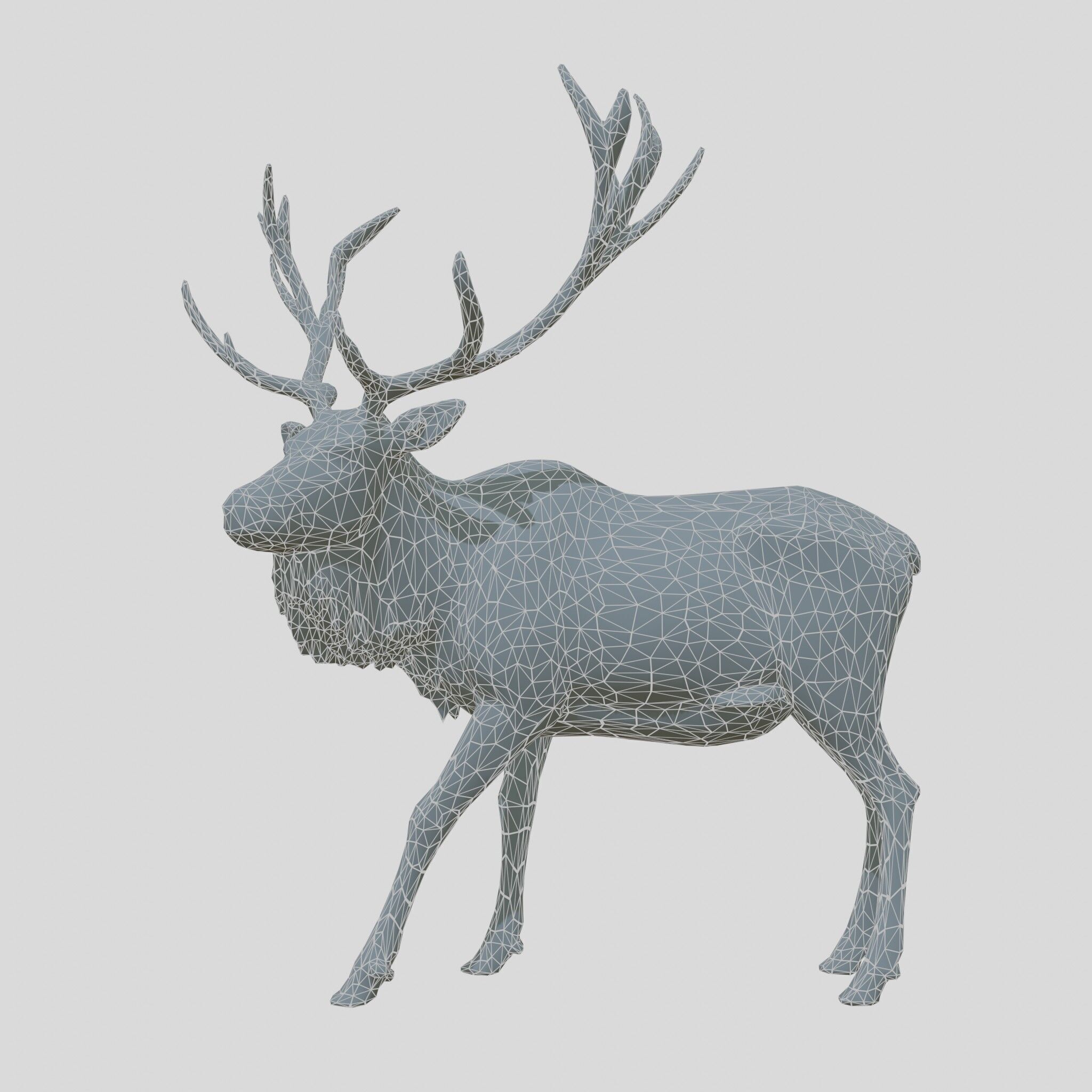 Realistic Elk with Majestic Antlers 3D Model Low-poly 3D model_6