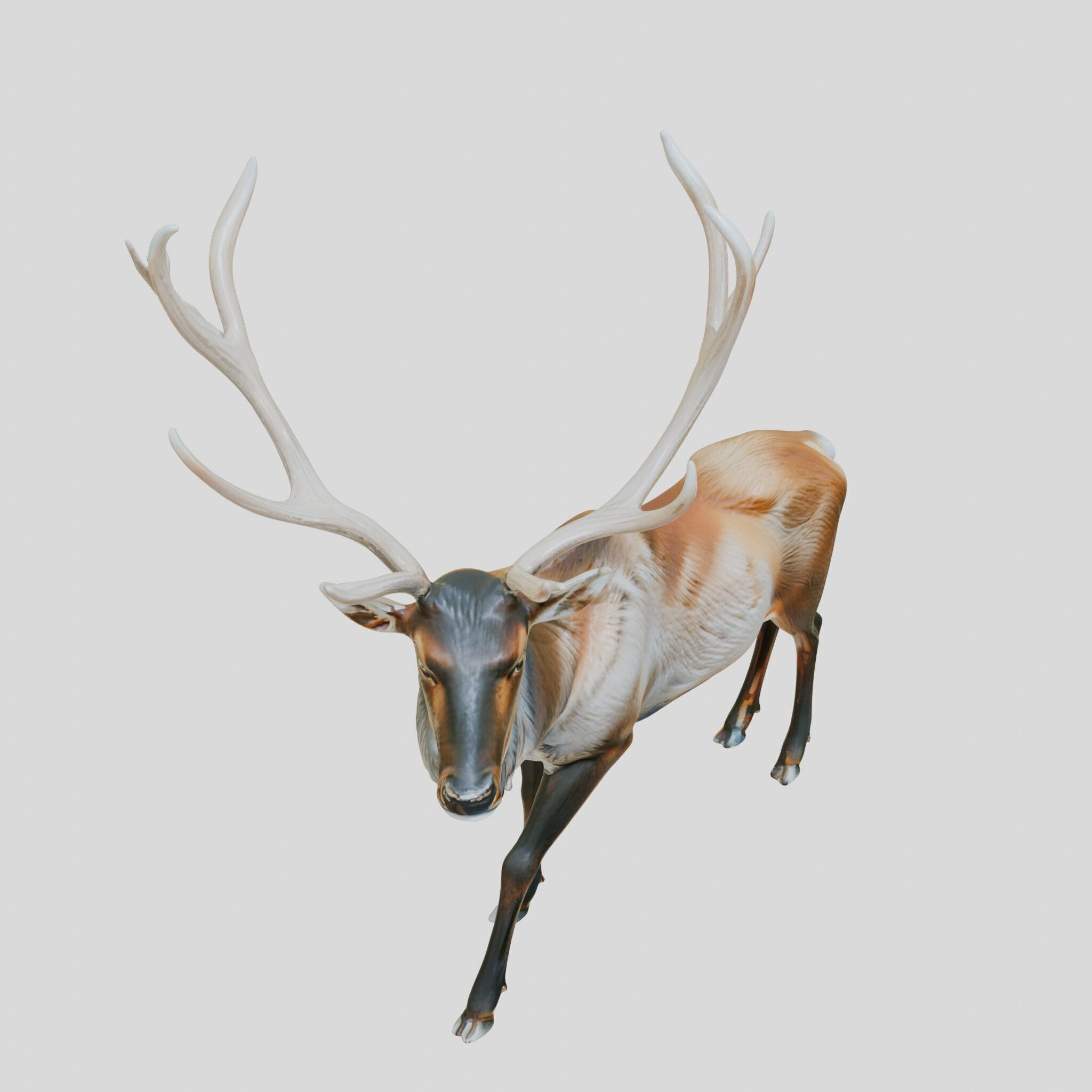 Realistic Elk with Majestic Antlers 3D Model Low-poly 3D model_11