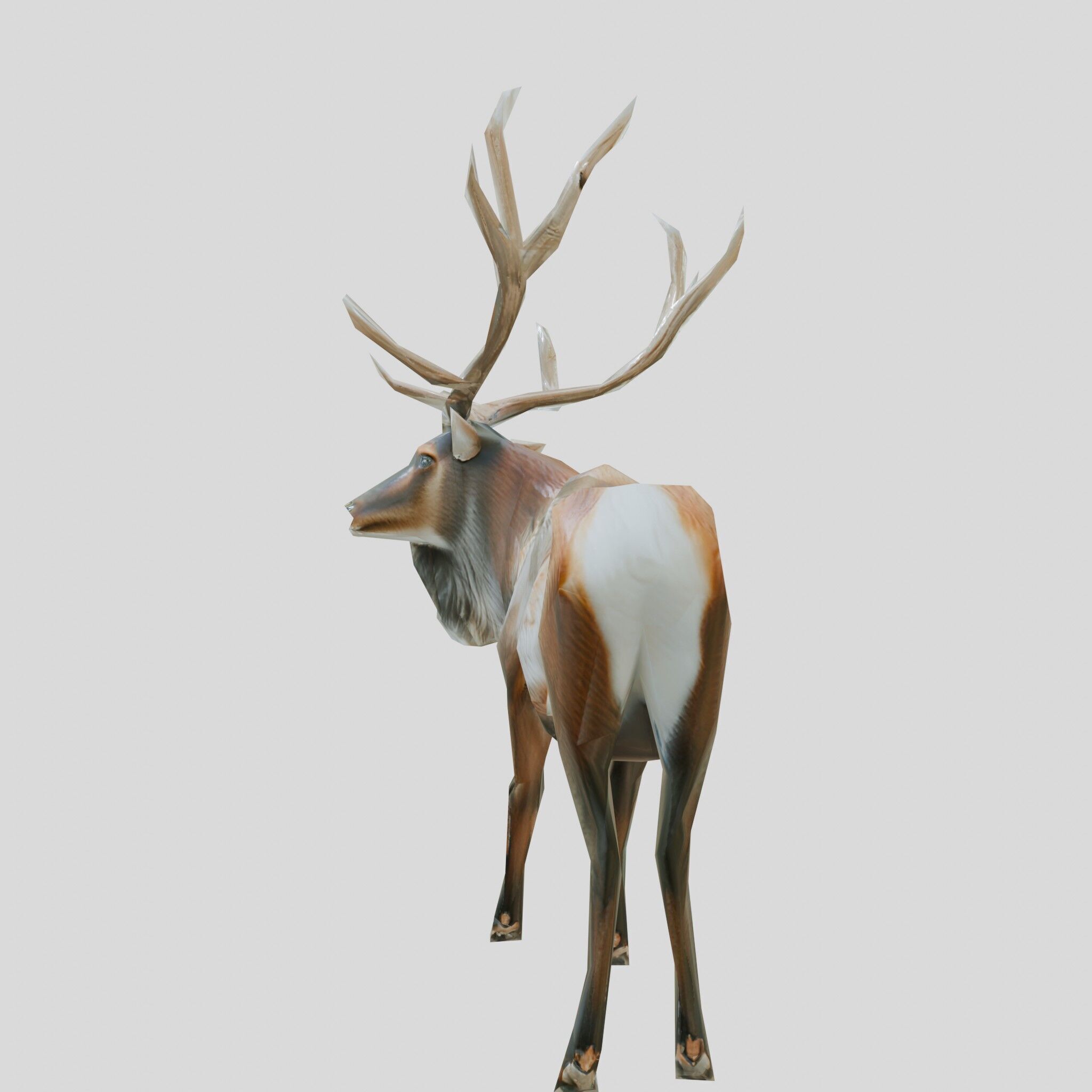 Realistic Elk with Majestic Antlers 3D Model Low-poly 3D model_10