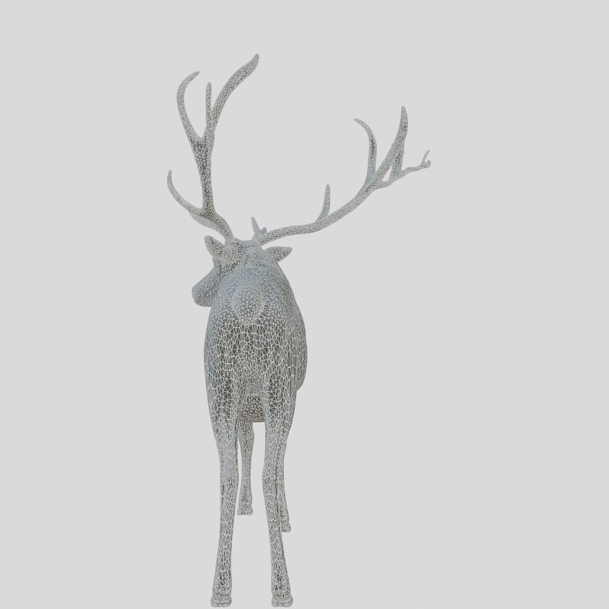 Realistic Elk with Majestic Antlers 3D Model Low-poly 3D model_8