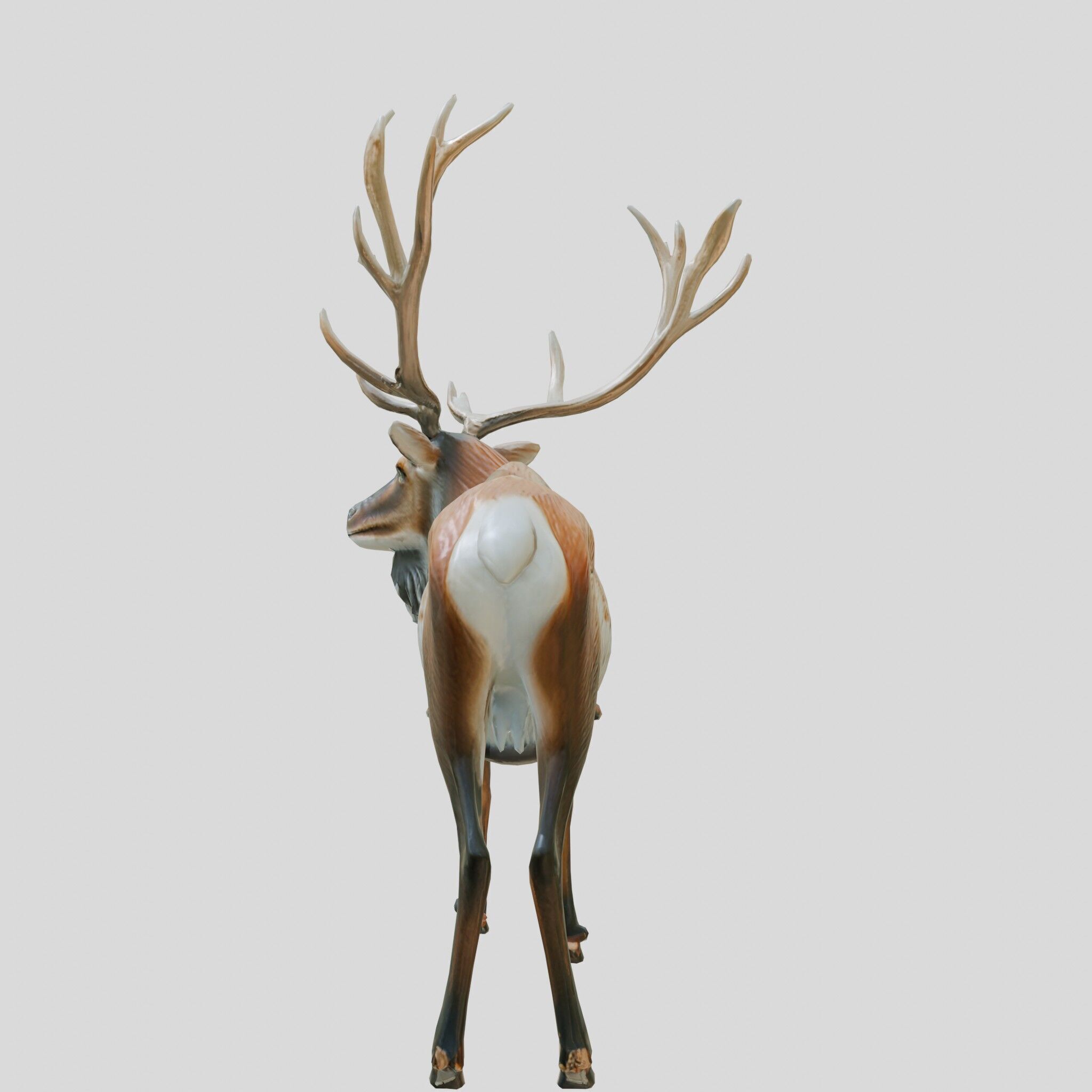 Realistic Elk with Majestic Antlers 3D Model Low-poly 3D model_15
