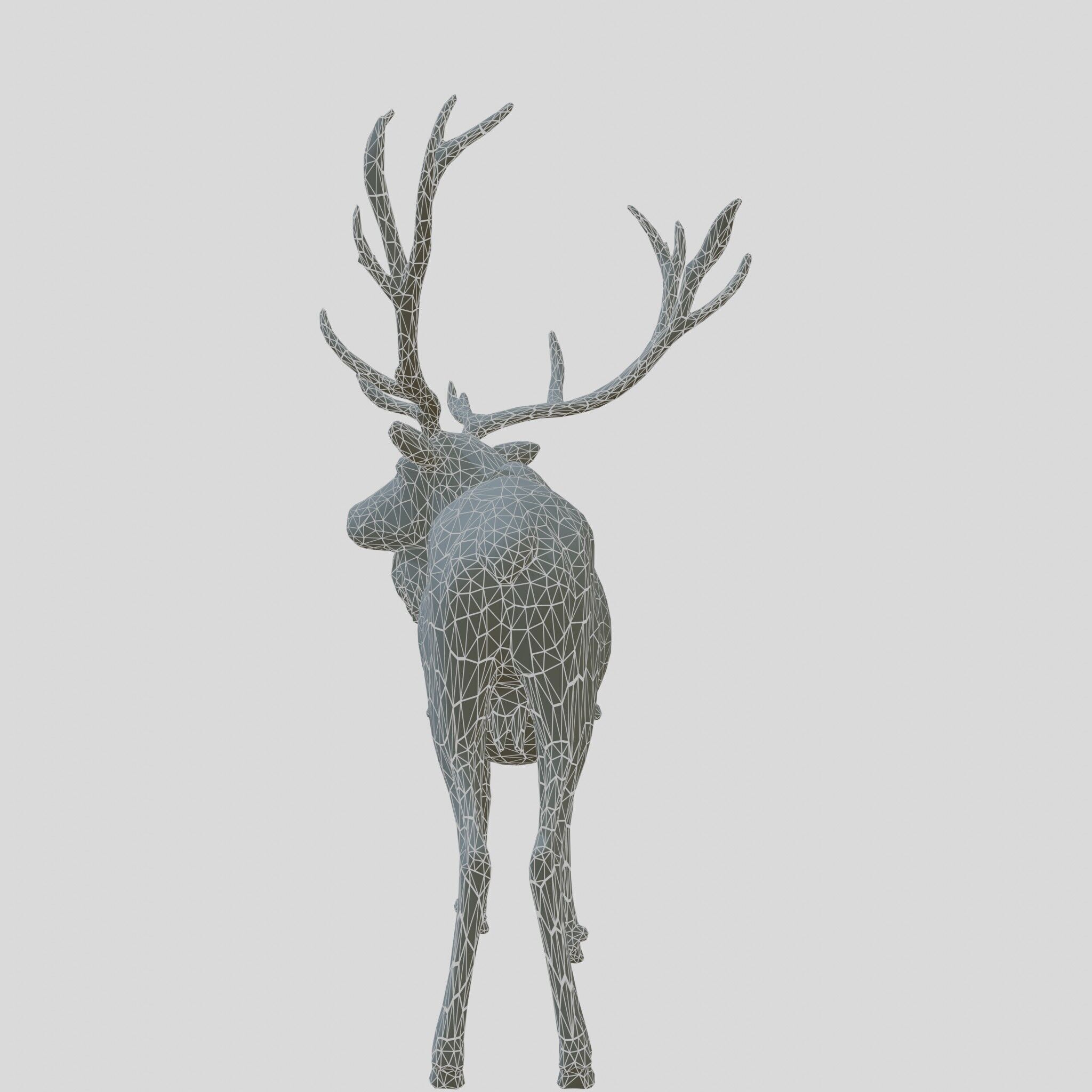 Realistic Elk with Majestic Antlers 3D Model Low-poly 3D model_18