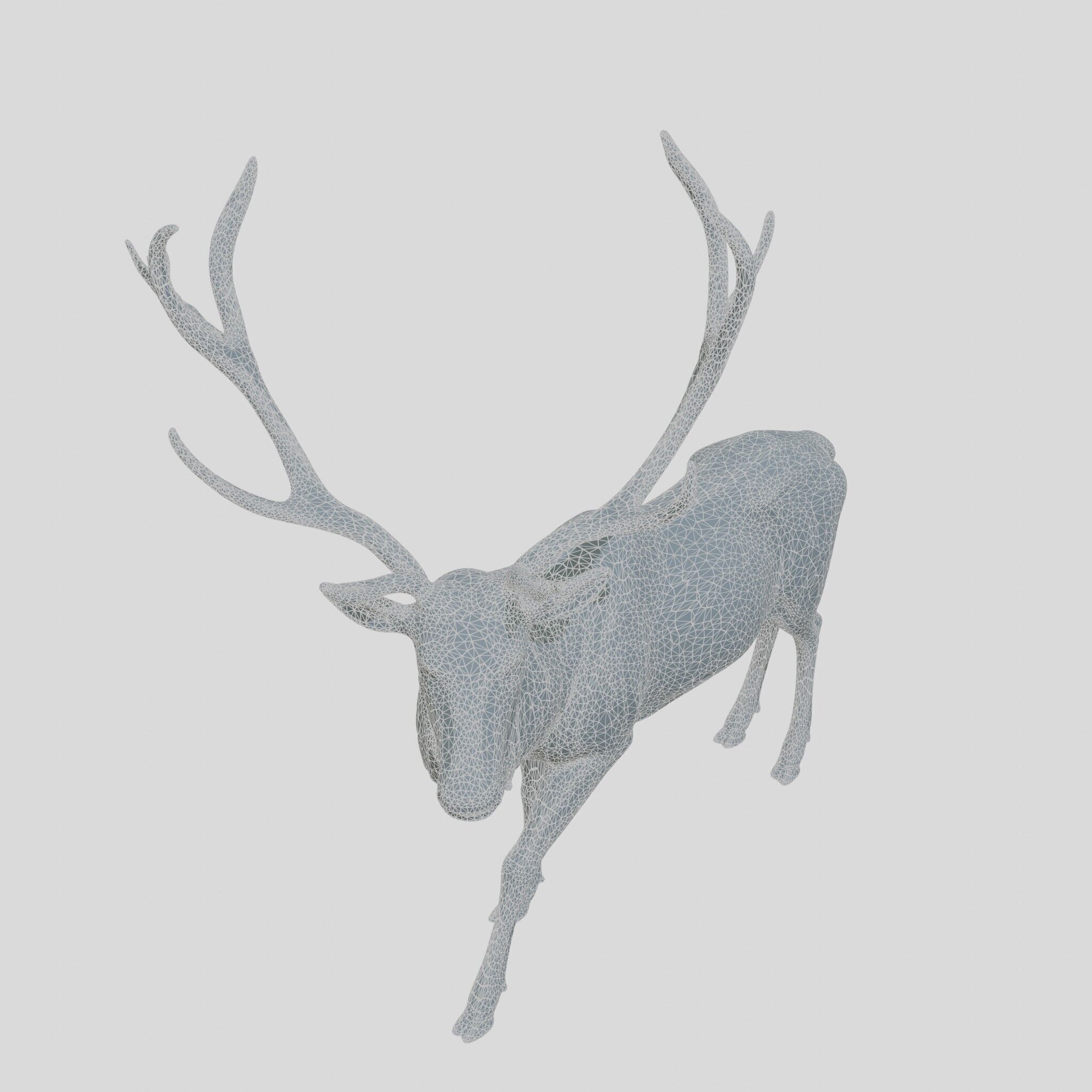 Realistic Elk with Majestic Antlers 3D Model Low-poly 3D model_14