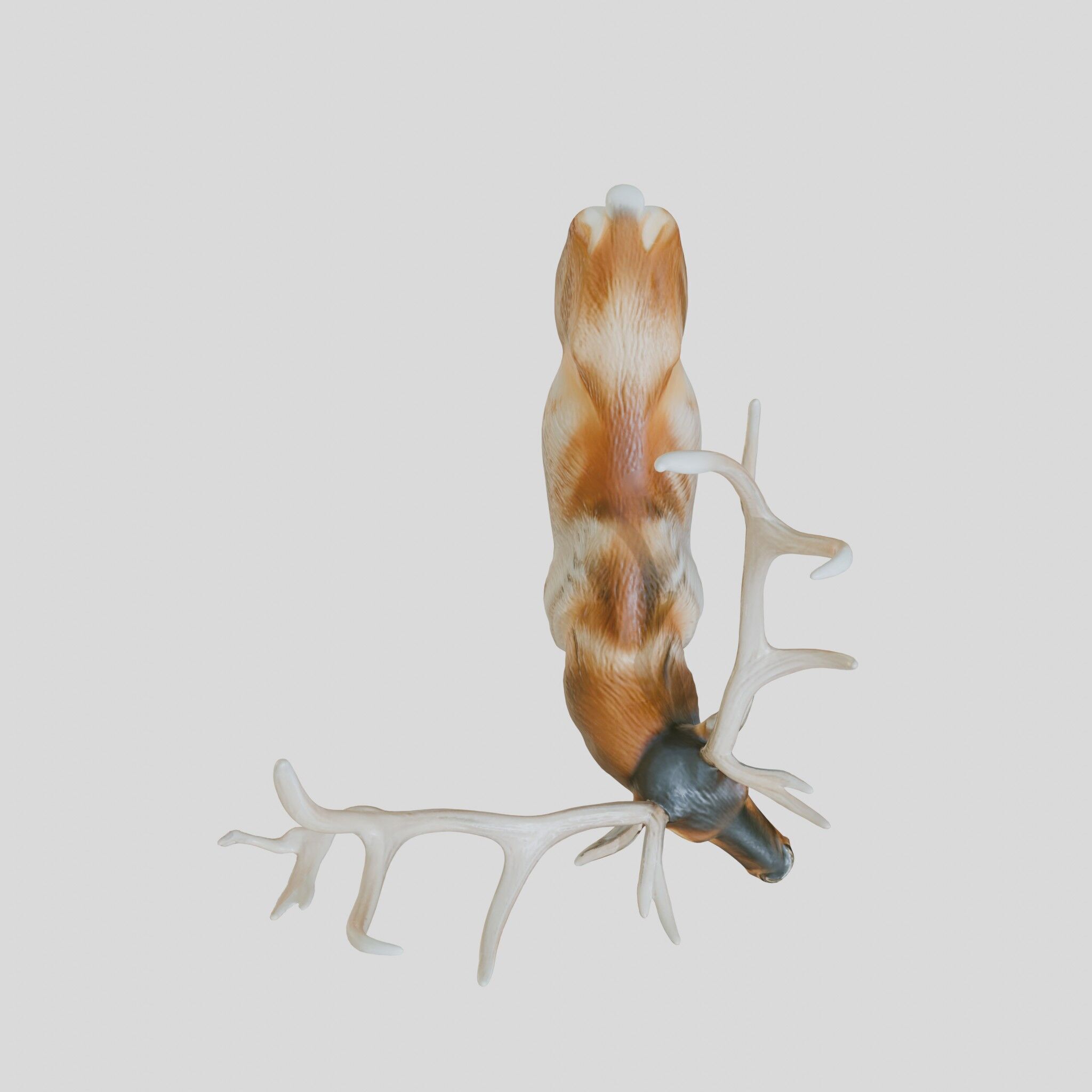 Realistic Elk with Majestic Antlers 3D Model Low-poly 3D model_2