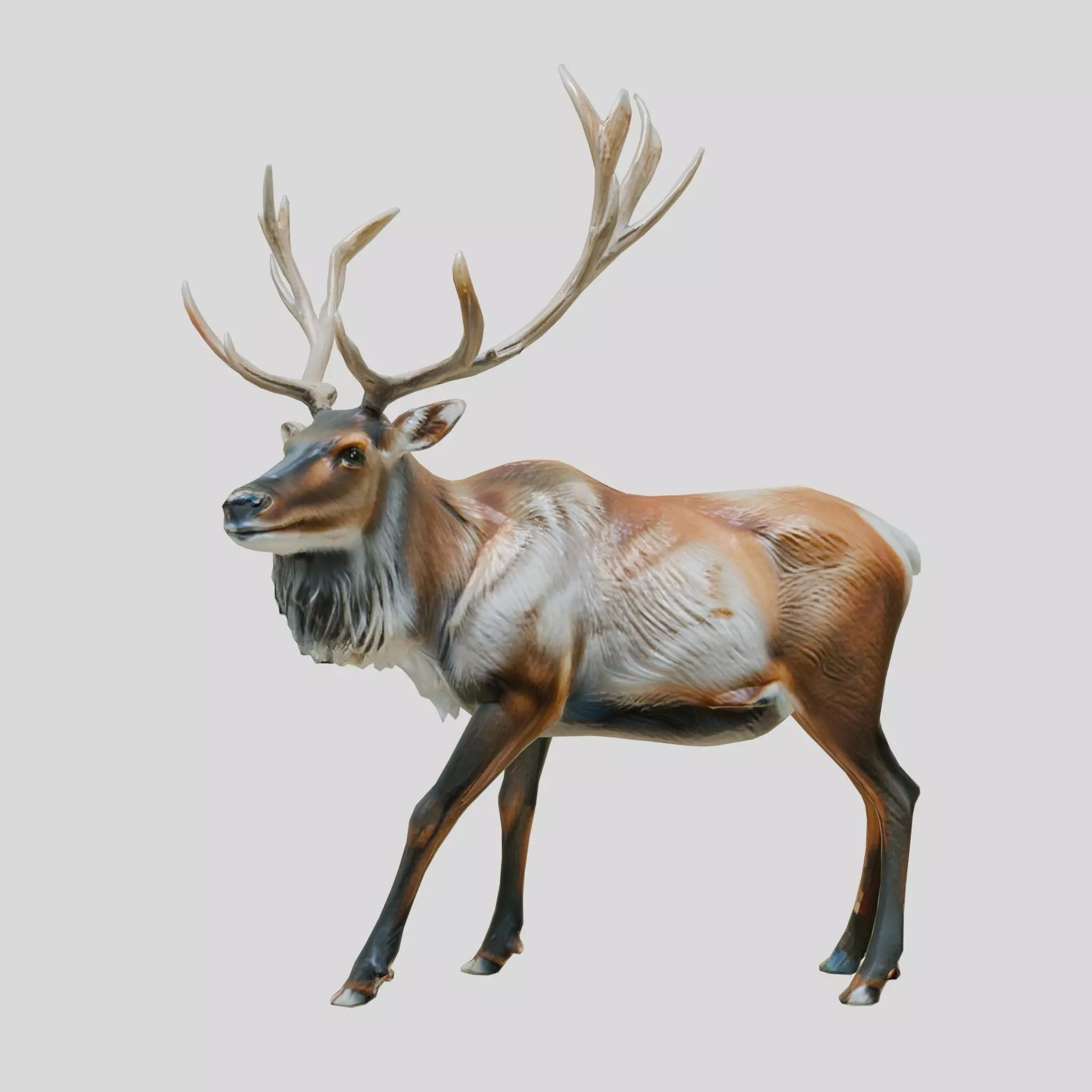 Realistic Elk with Majestic Antlers 3D Model Low-poly 3D model_0