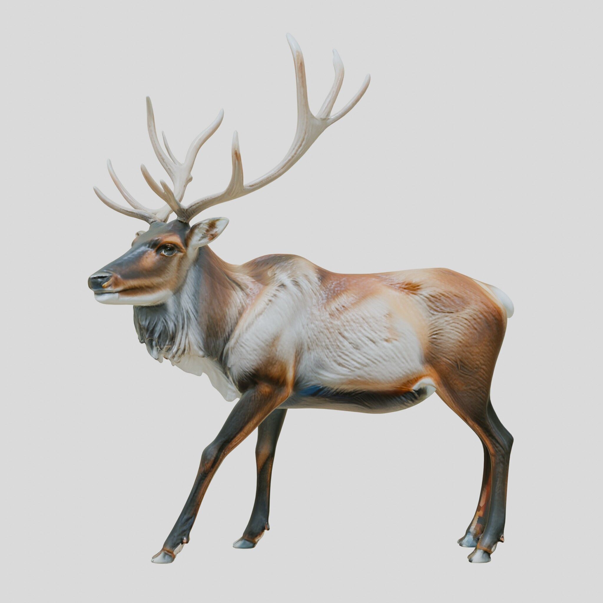 Realistic Elk with Majestic Antlers 3D Model Low-poly 3D model_17
