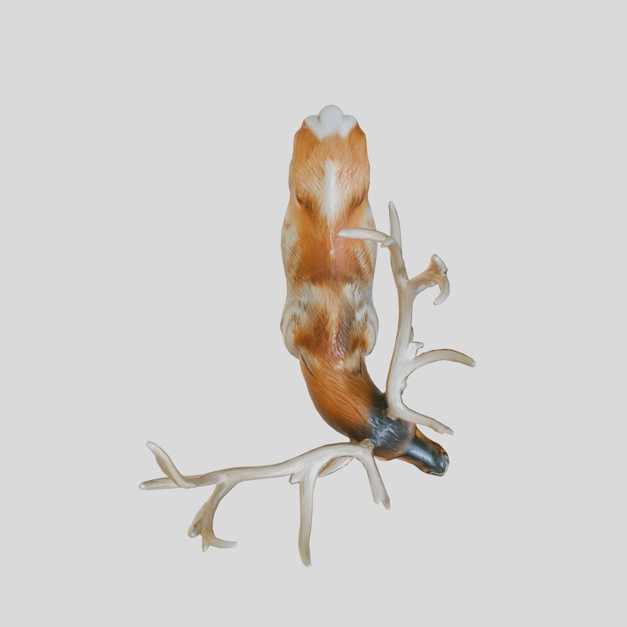 Realistic Elk with Majestic Antlers 3D Model Low-poly 3D model_9