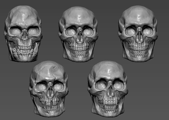 Pack of Skulls 3D print model