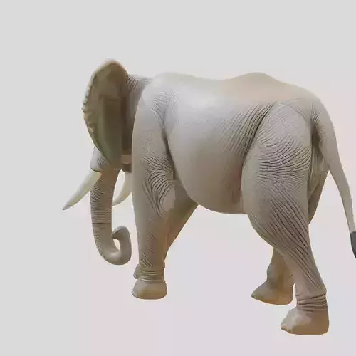 African Elephant Realistic 3D Model