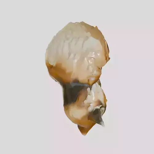 Fluffy Sleeping Cat Sculpture with Realistic Fur Texture