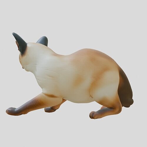 Siamese Cat Realistic 3D Model Low-poly 3D model