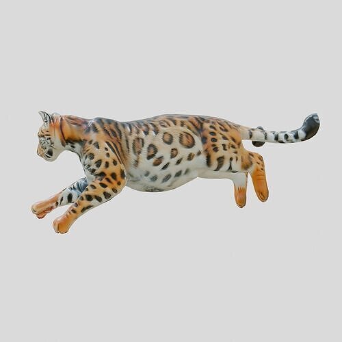 Leaping Bengal Cat Animation Model Low-poly 3D model