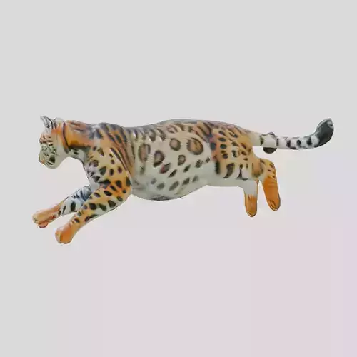 Leaping Bengal Cat Animation Model