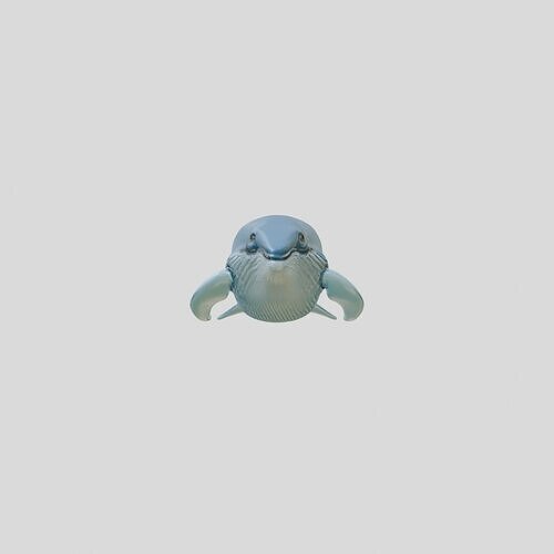 Blue Whale Realistic 3D Model Ocean Mammal Low-poly 3D model